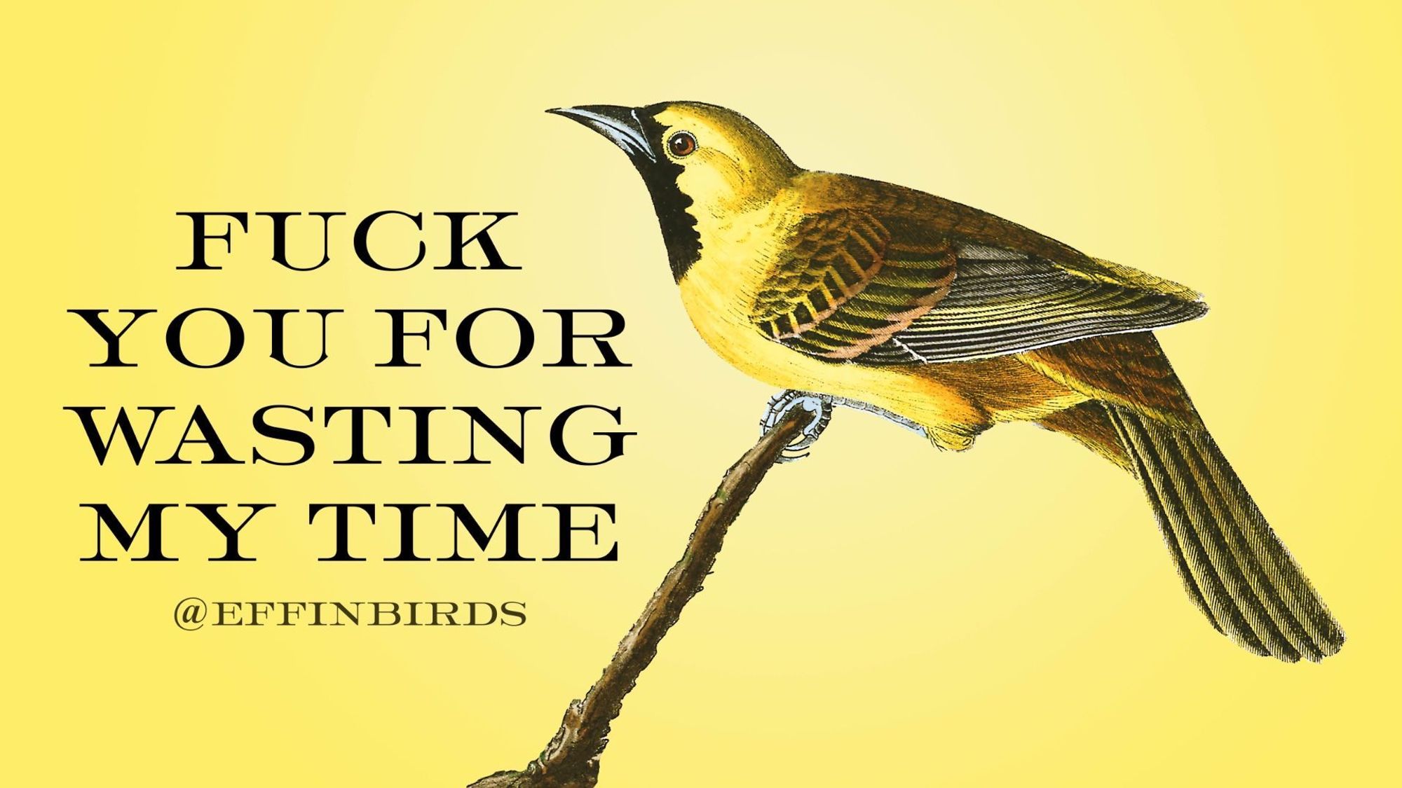 A painting of a bird beside the text "Fuck You For Wasting My Time"