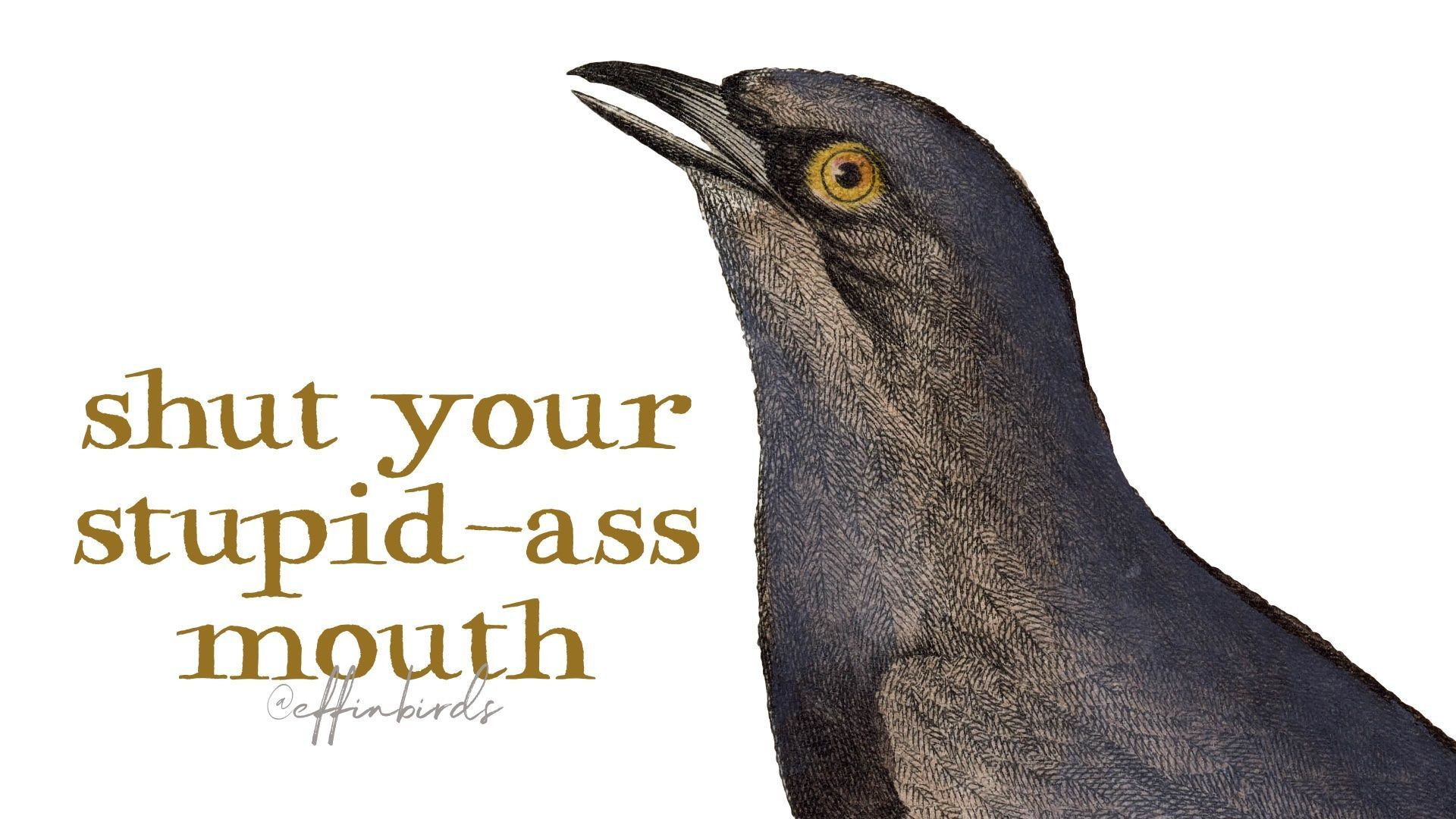 A painting of a bird beside the text "shut your stupid-ass mouth"