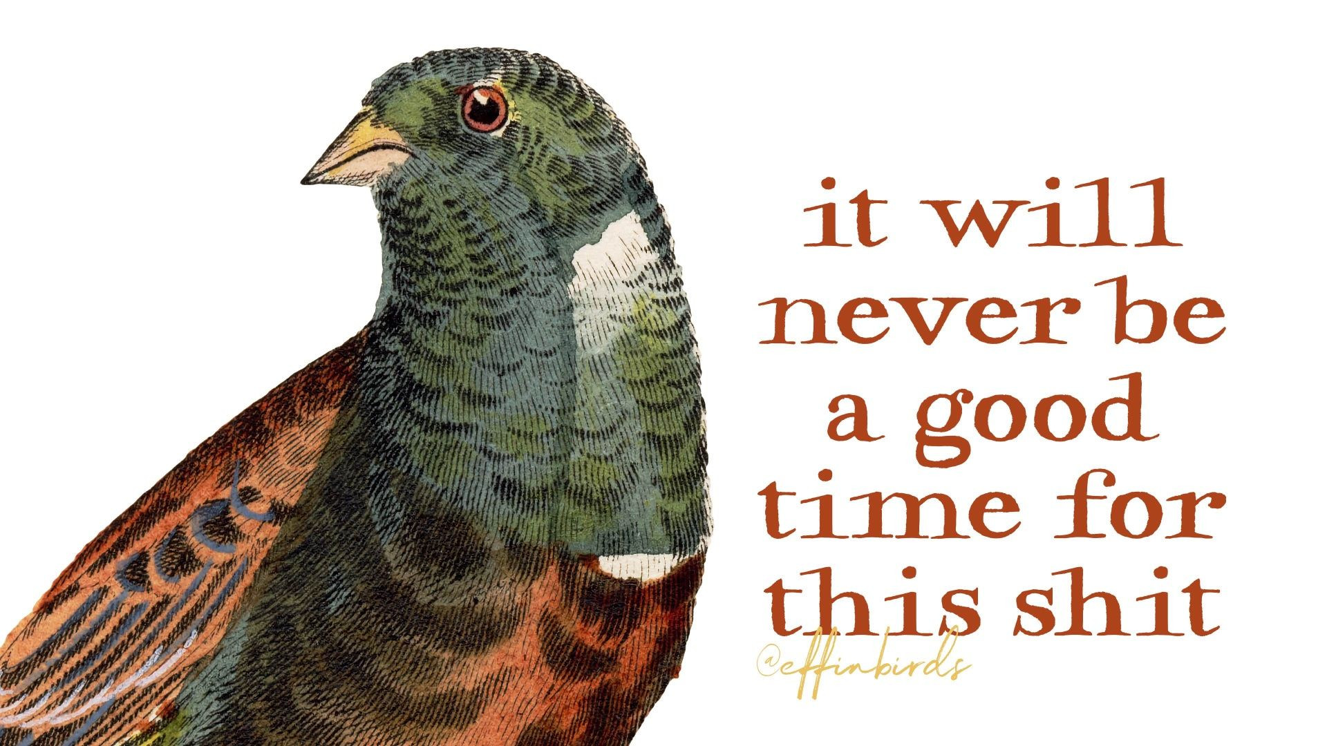 A painting of a bird beside the text "it will never be a good time for this shit"