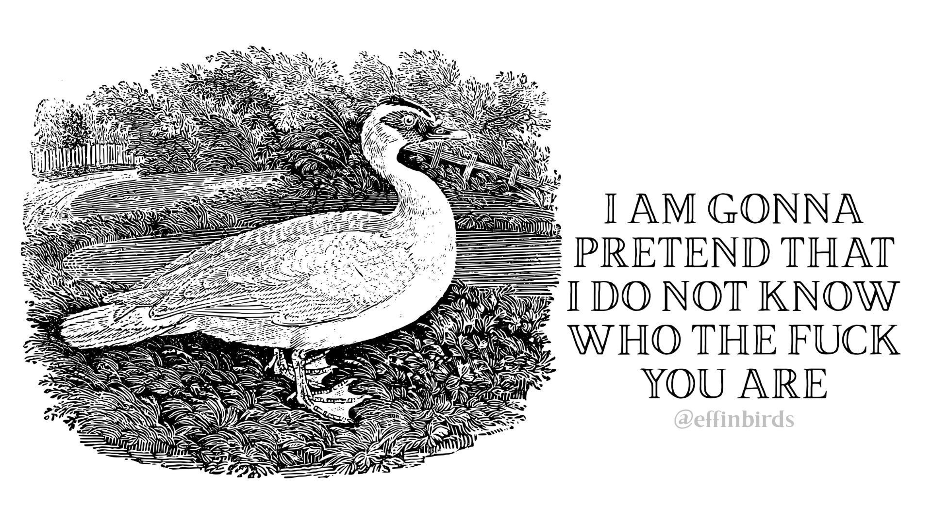 A woodcut of a bird beside the text "I AM GONNA PRETEND THAT I DO NOT KNOW WHO THE FUCK YOU ARE"