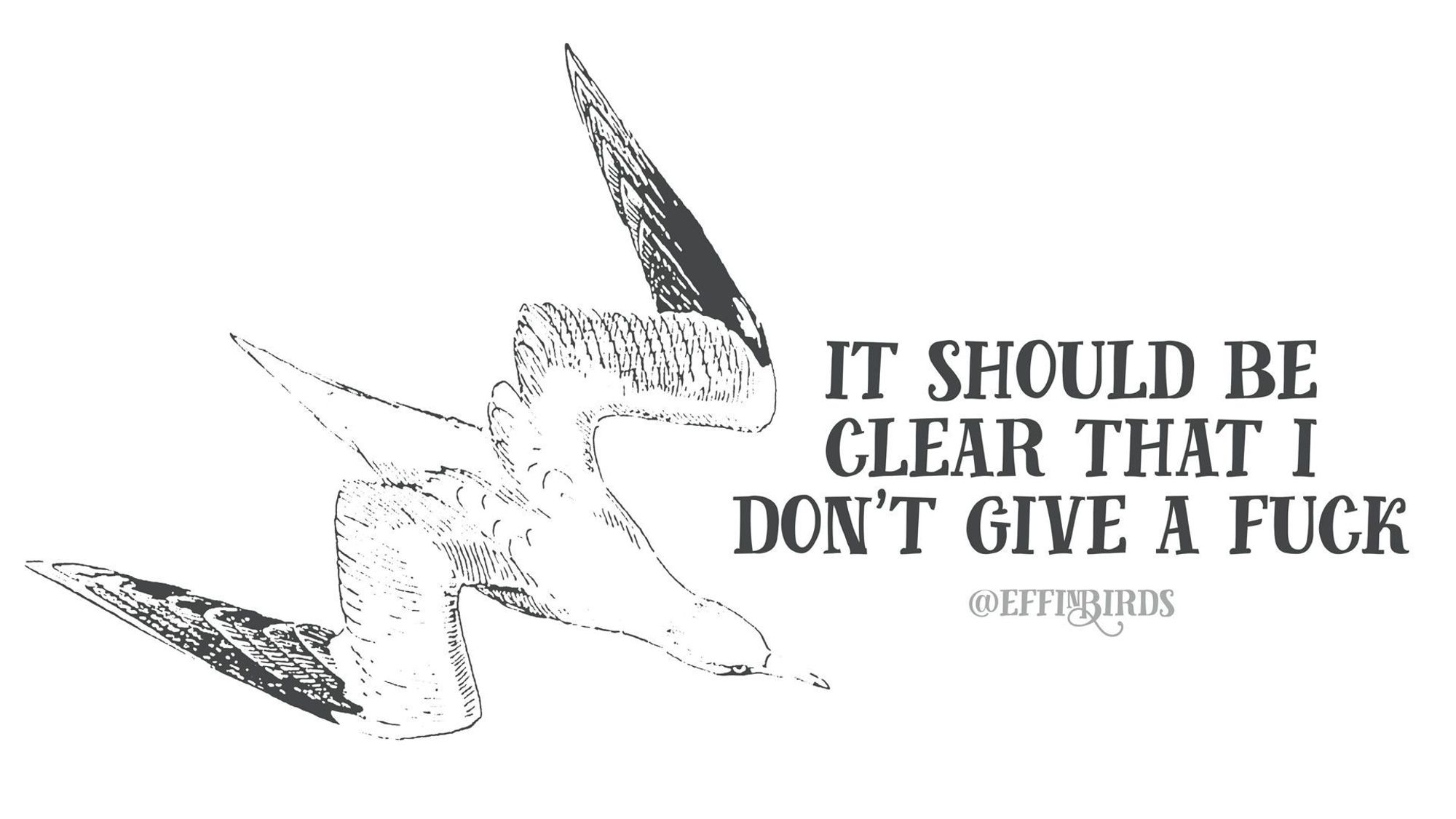 A woodcut of a bird beside the text "it should be clear that i don't give a fuck"