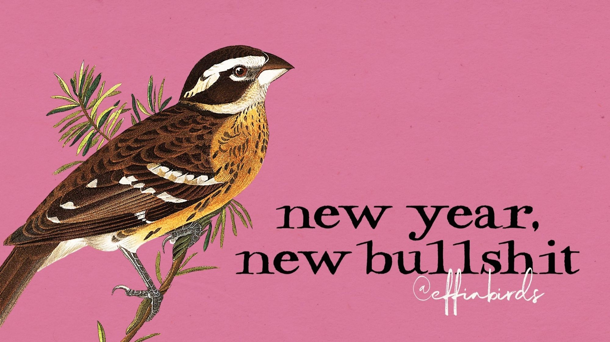 A painting of a bird beside the text "new year, new bullshit."