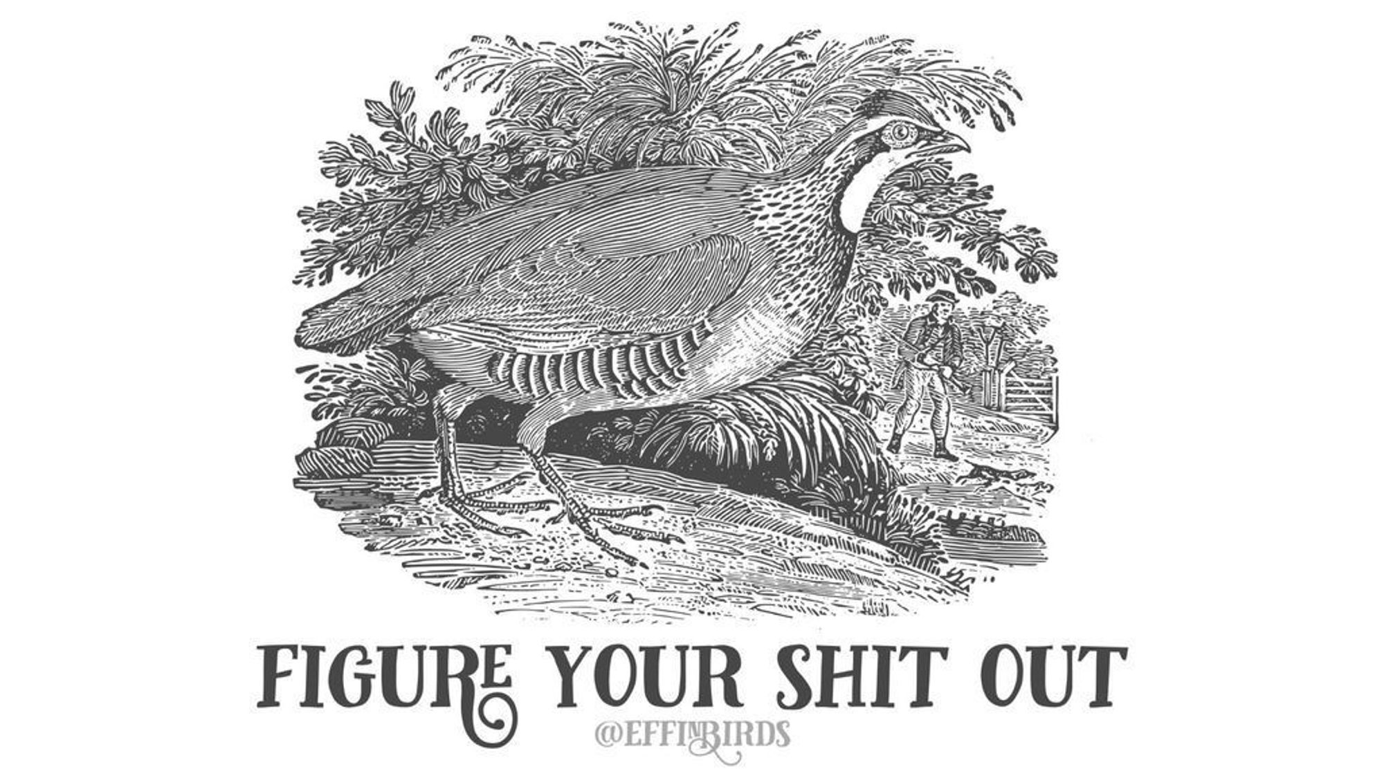 A woodcut of a Guernsey Partridge above the words "Figure your shit out"