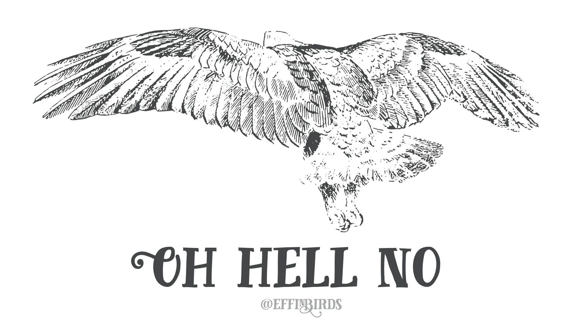 A woodcut of a bird beside the text "oh hell no"