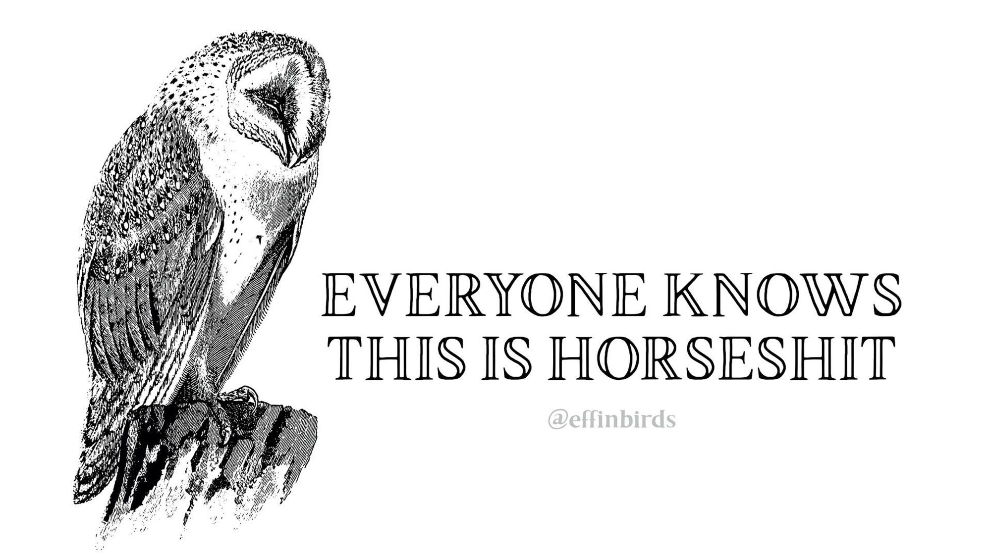 A woodcut of a bird beside the text "EVERYONE KNOWS THIS IS HORSESHIT"