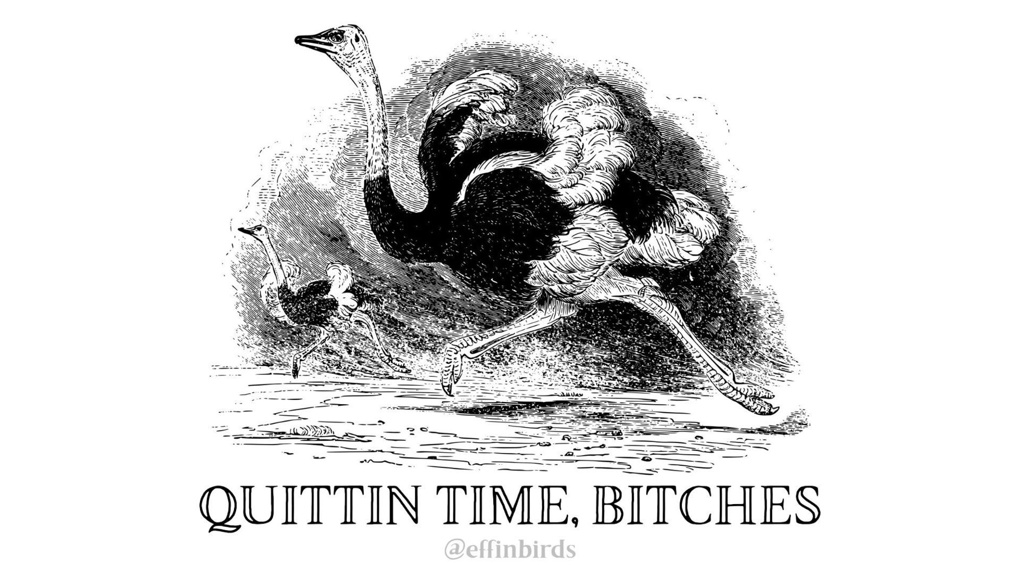 A woodcut of a bird beside the text "QUITTIN TIME, BITCHES"