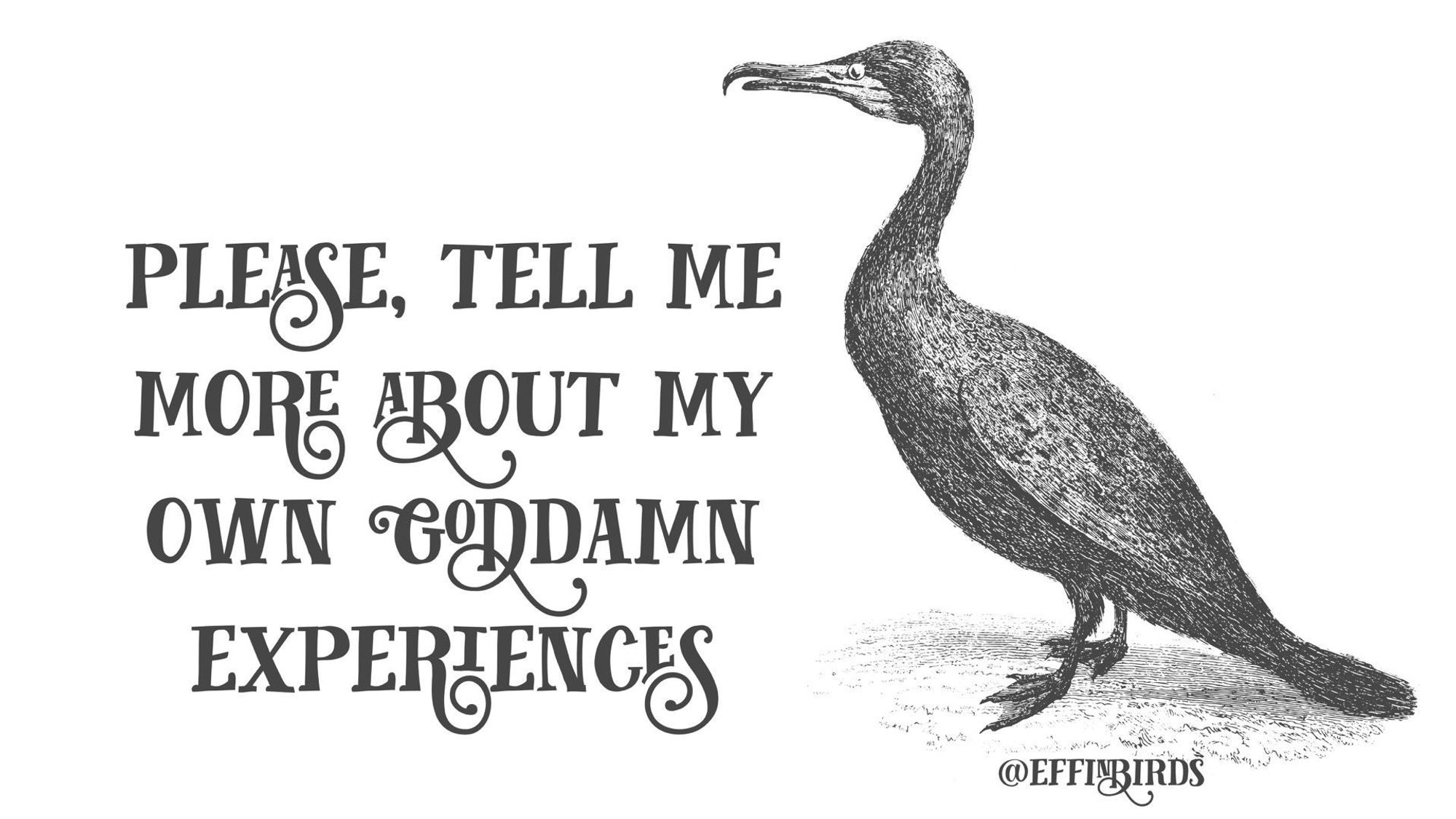 A woodcut of a bird beside the text "please, tell me more about my own goddamn experiences"