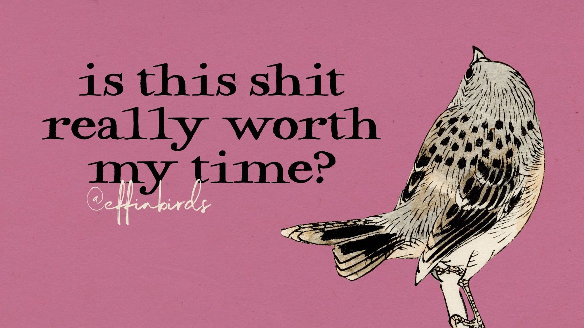 A painting of a bird beside the text "is this shit really worth my time?"