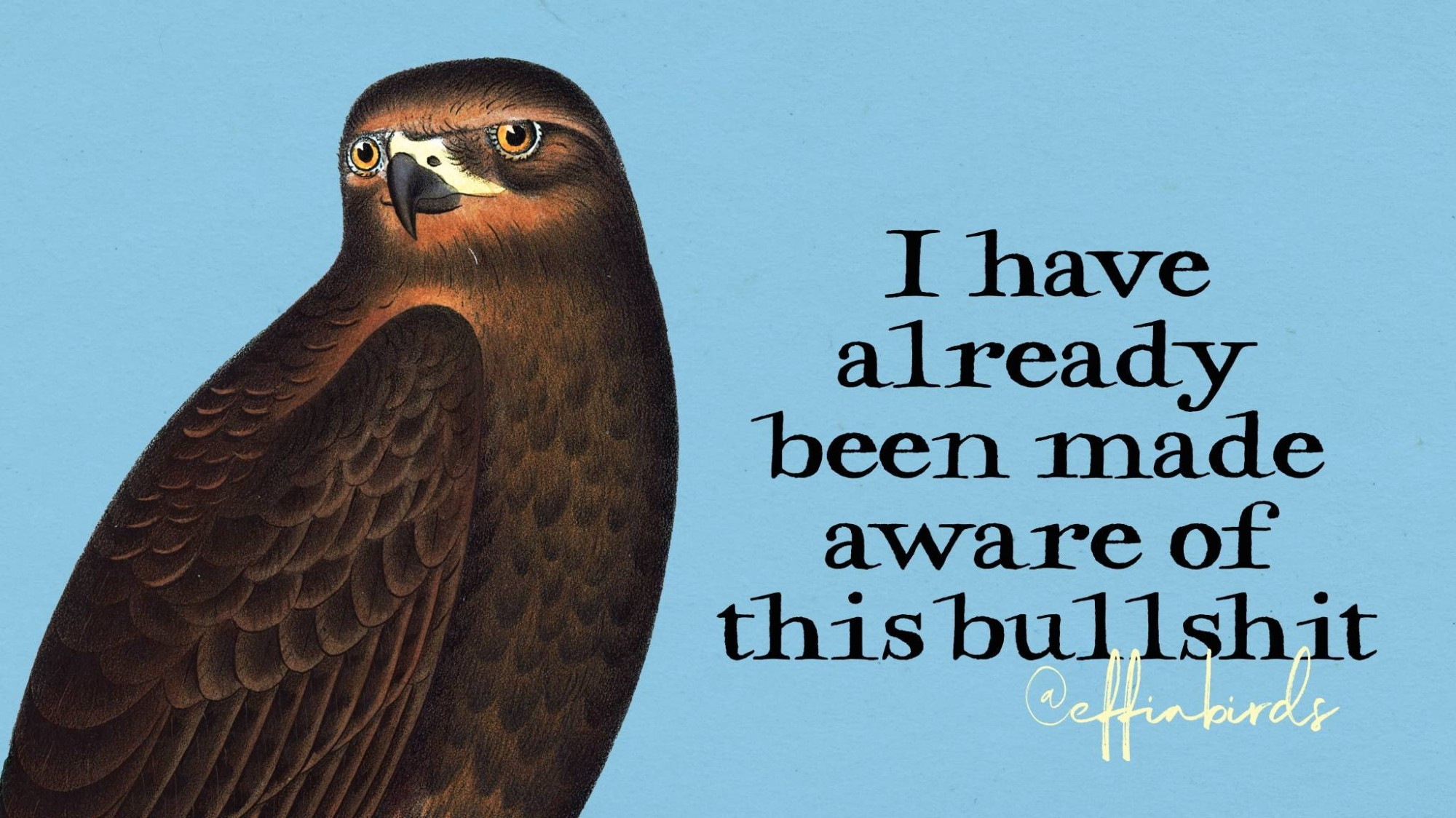 A painting of a bird beside the text "I have already been made aware of this bullshit."