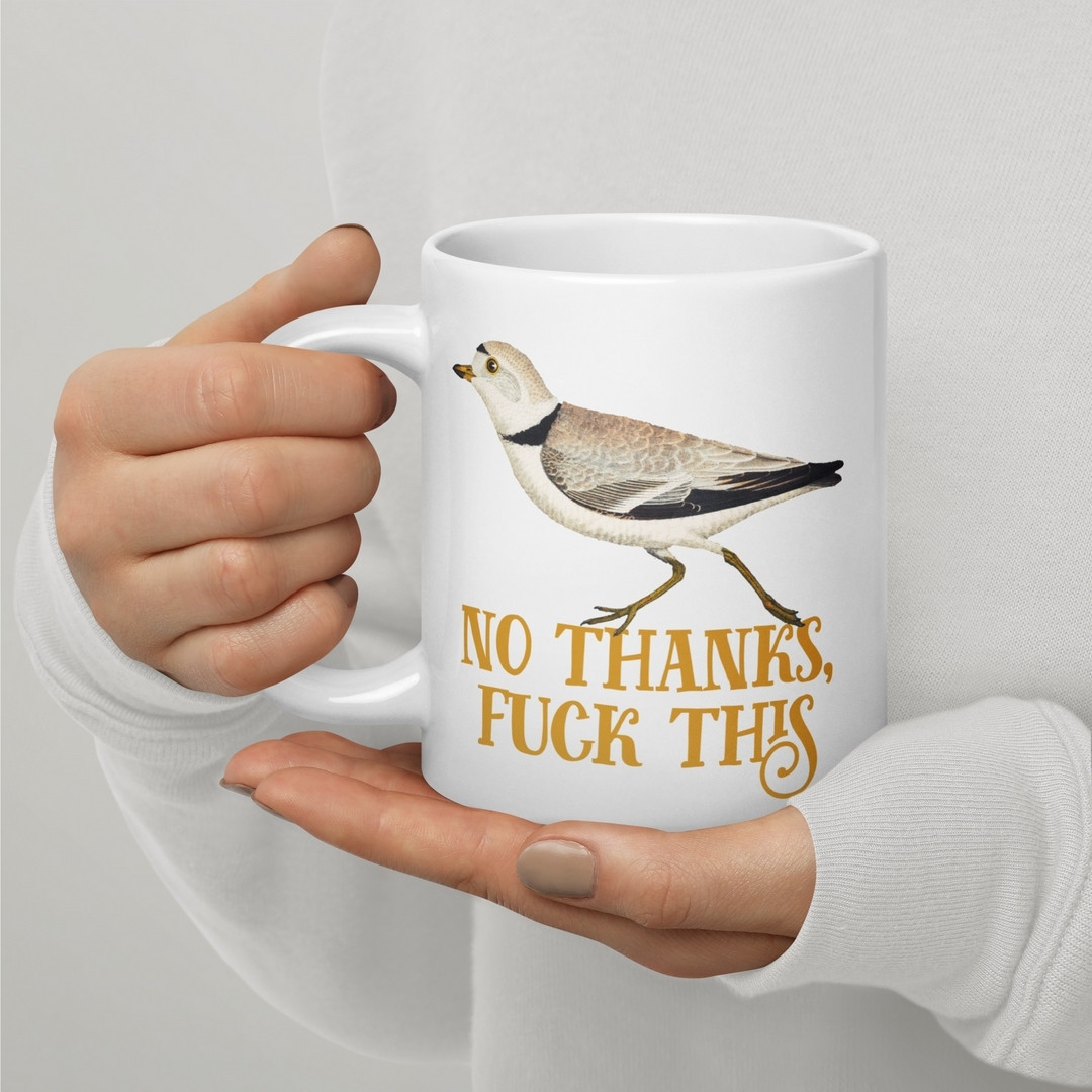 A mug that reads "no thanks, fuck this."