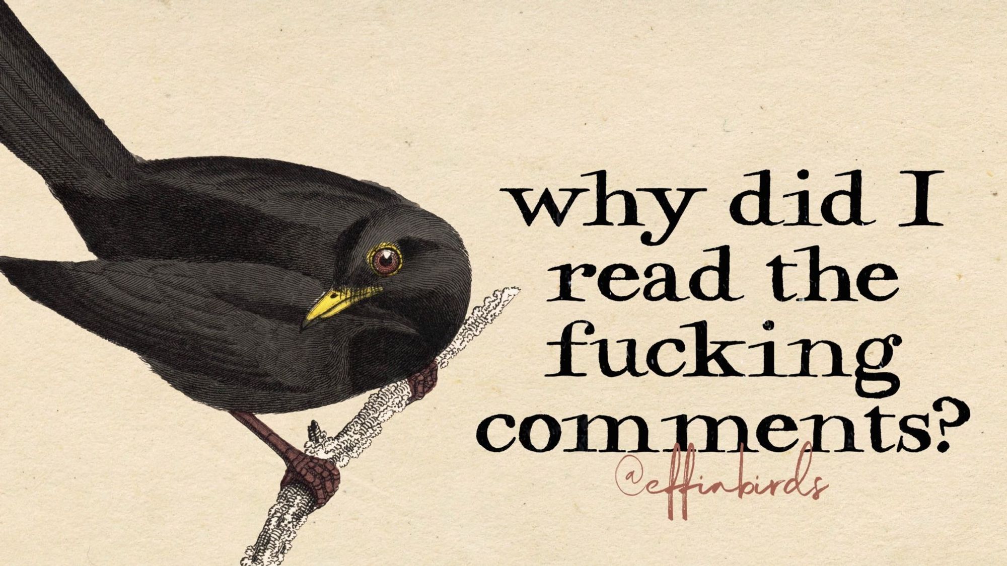 A painting of a bird beside the text "why did I read the fucking comments?"