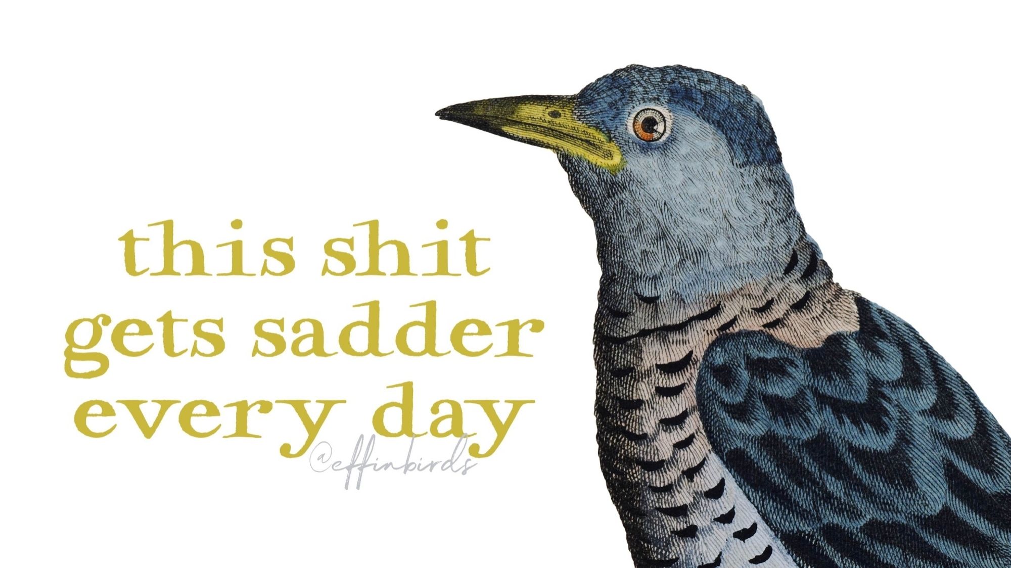 A painting of a bird beside the text "this shit gets sadder every day."