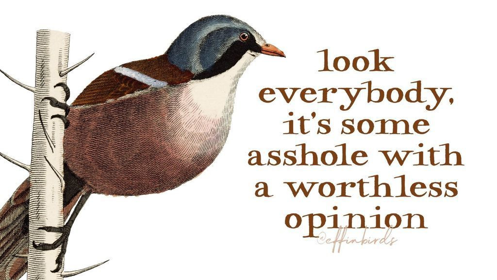 A painting of a bird next to the words "look everybody, it's some asshole with a worthless opinion"