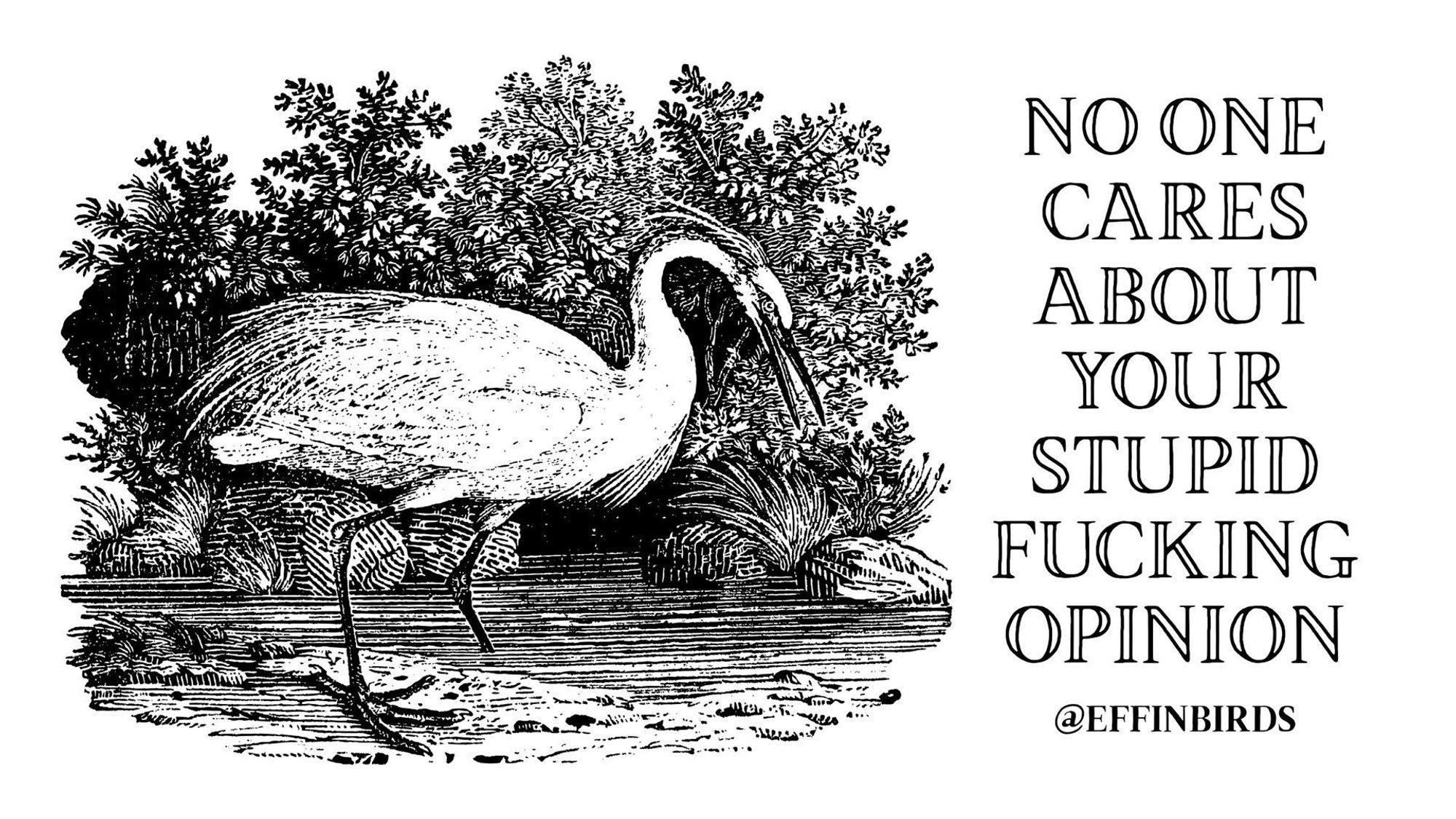 A woodcut of a bird beside the text "NO ONE CARES ABOUT YOUR STUPID FUCKING OPINION"