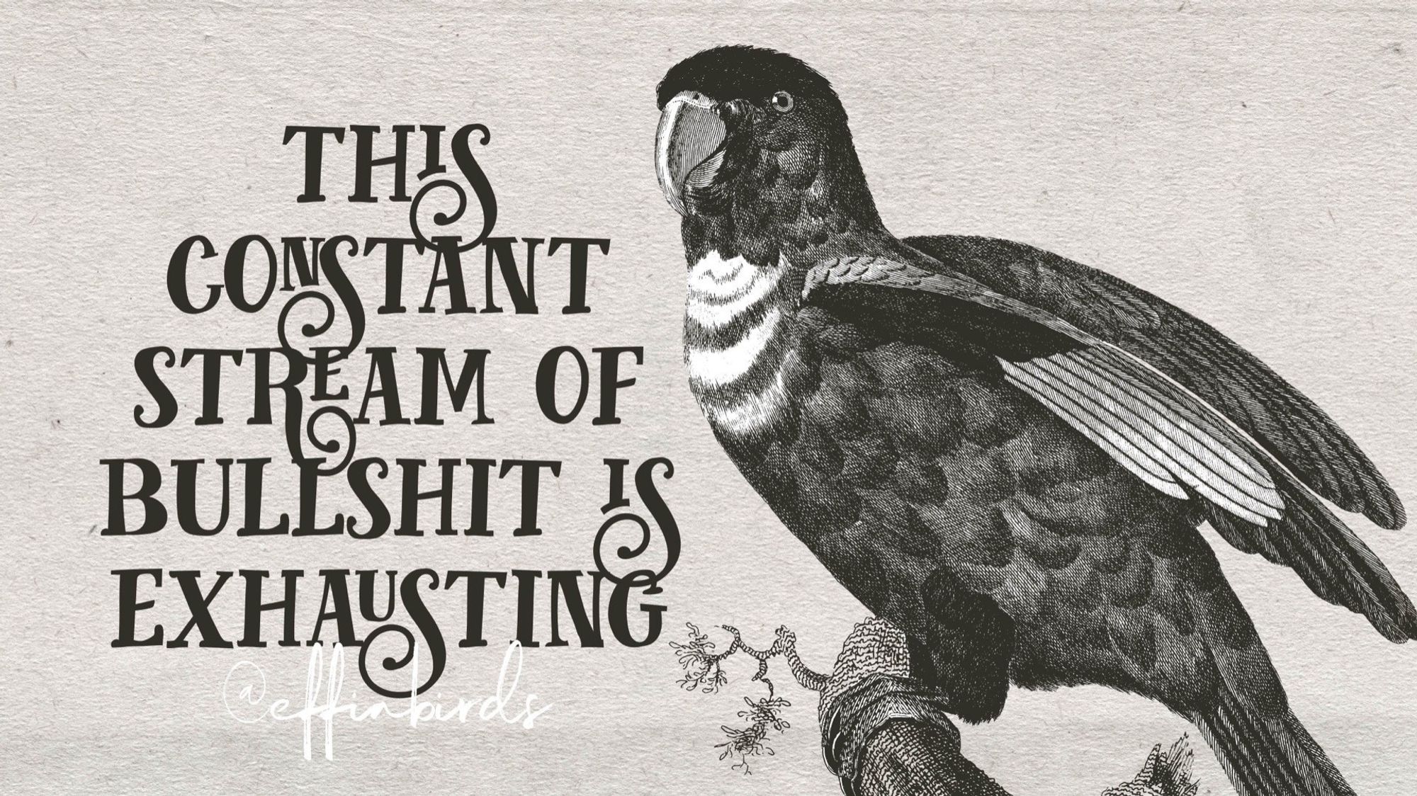 A woodcut of a parrot beside the text "this constant stream of bullshit is exhausting"