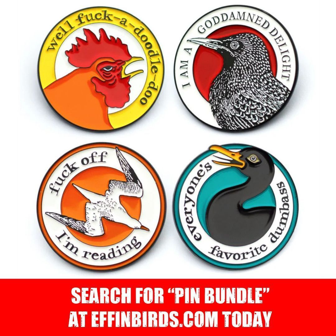 A photograph of a set of enamel pins, each featuring the likeness of a different bird surrounded by a colorful saying.