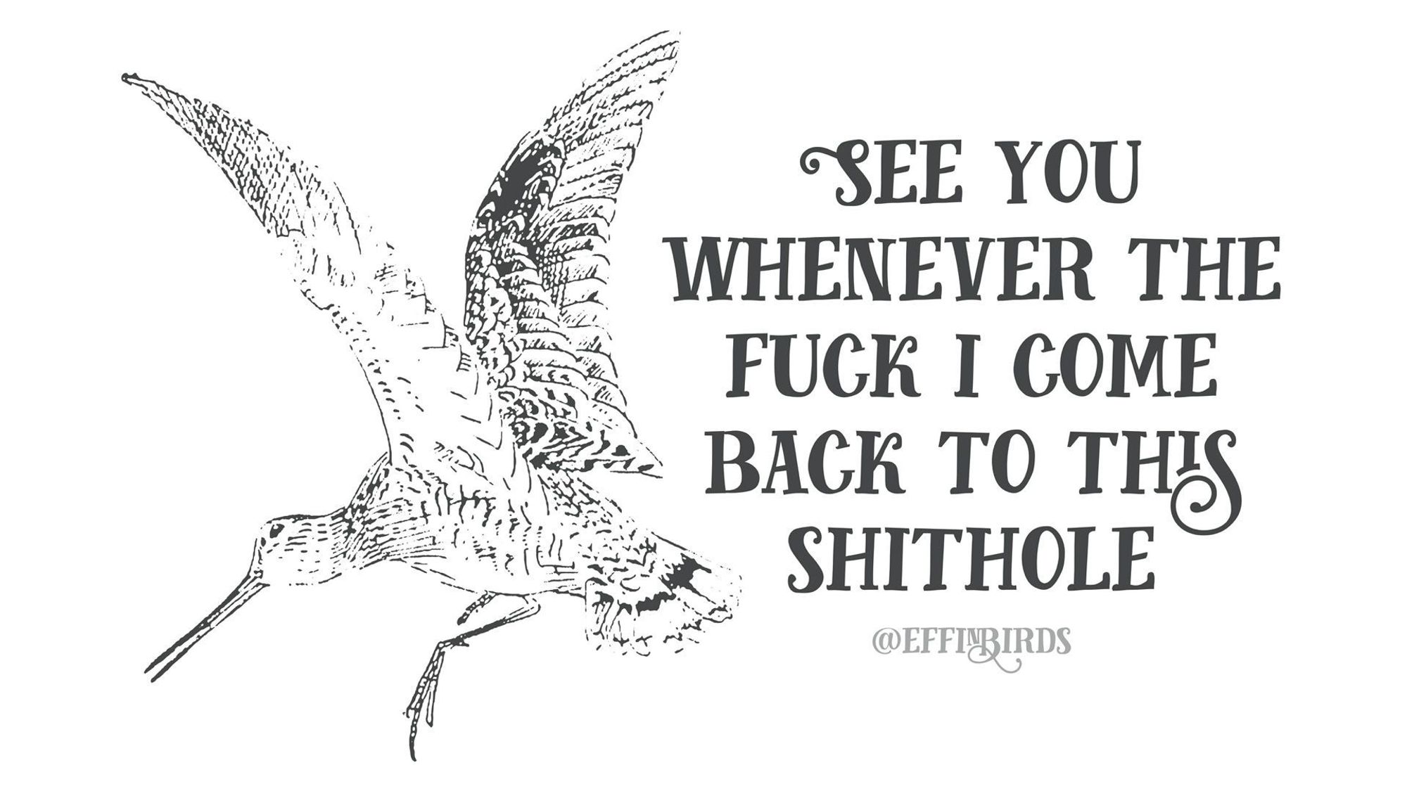 A woodcut of a bird beside the text "See you whenever the fuck i come back to this shithole"