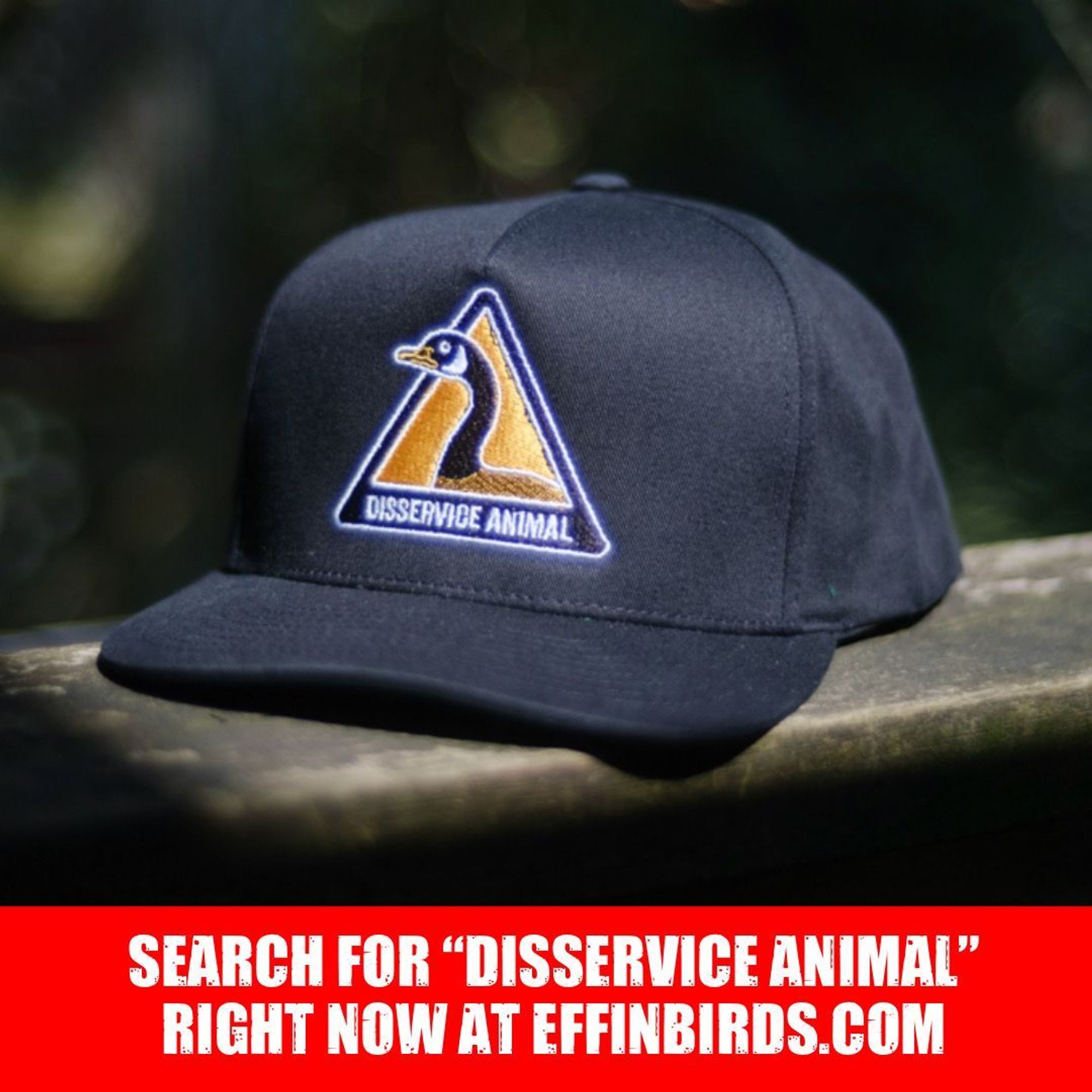 A photograph of a hat featuring a logo of a goose above the words “disservice animal”.