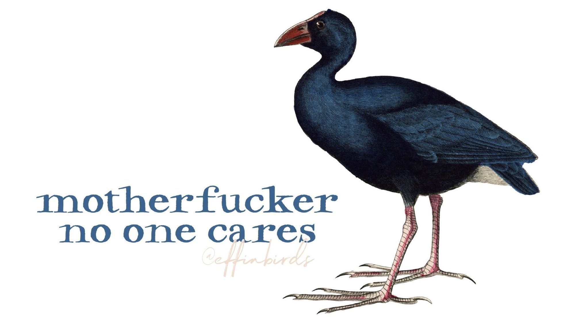 A painting of a bird beside the text "motherfucker no one cares"