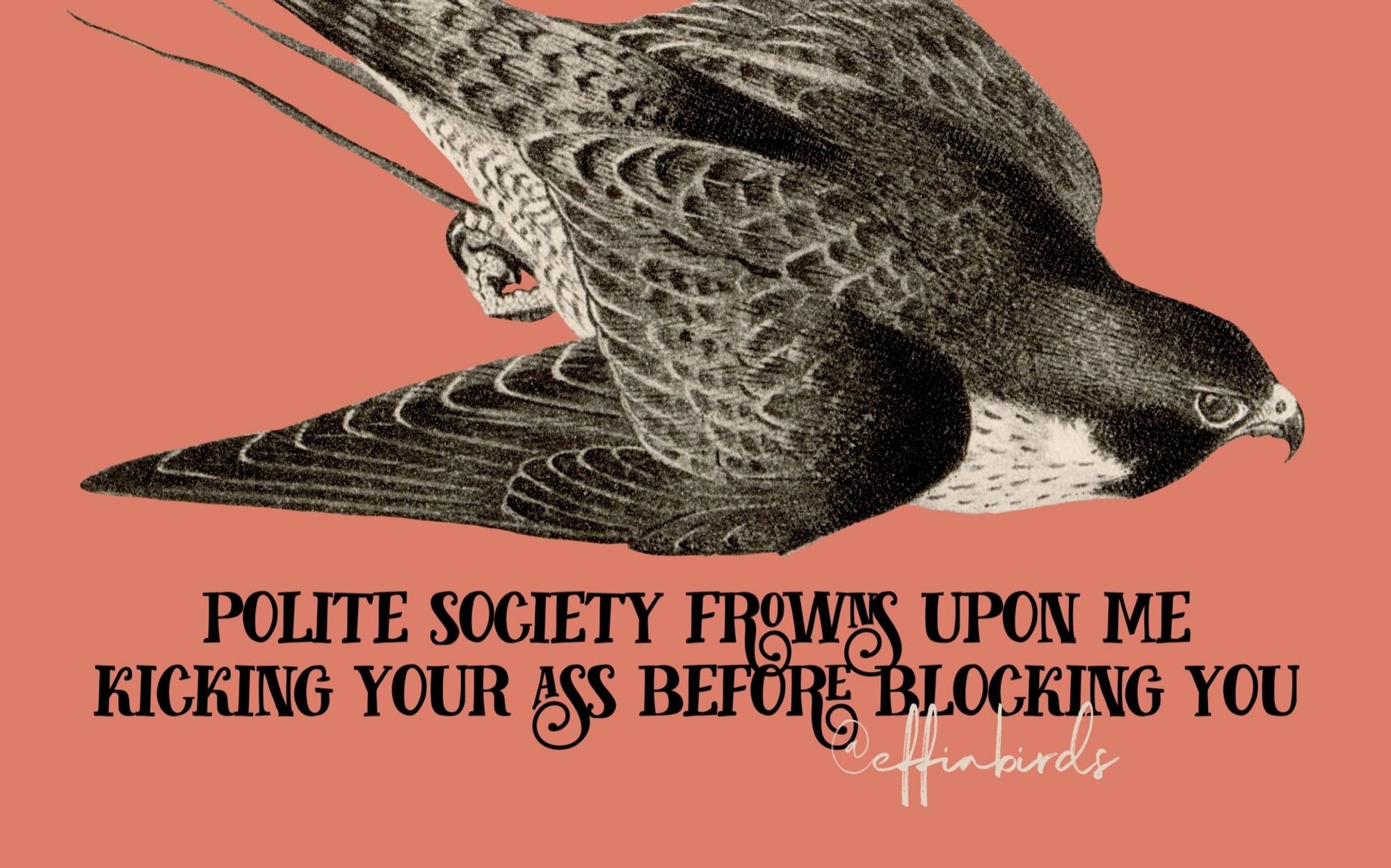 A painting of a bird above the text "polite society frowns upon me kicking your ass before blocking you."