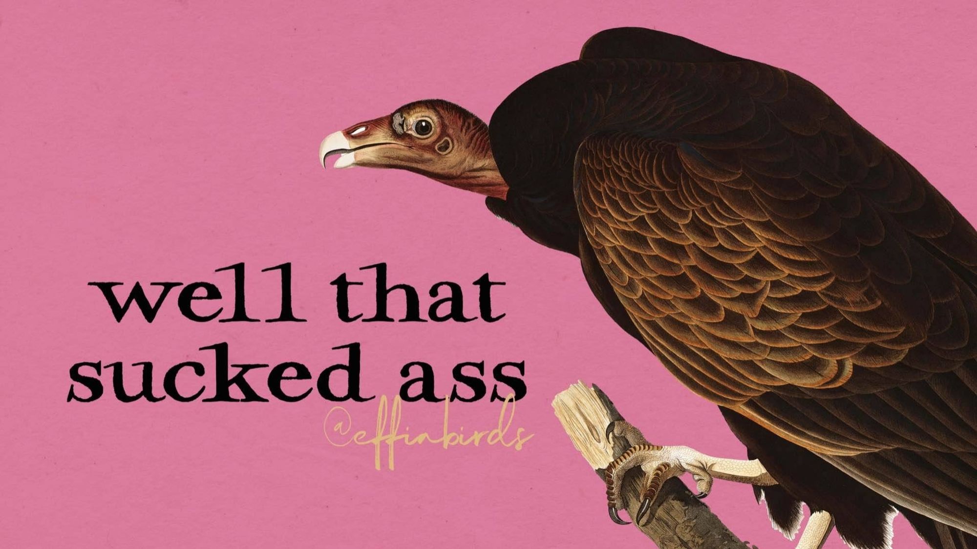 A painting of a vulture beside the text "well that sucked ass."