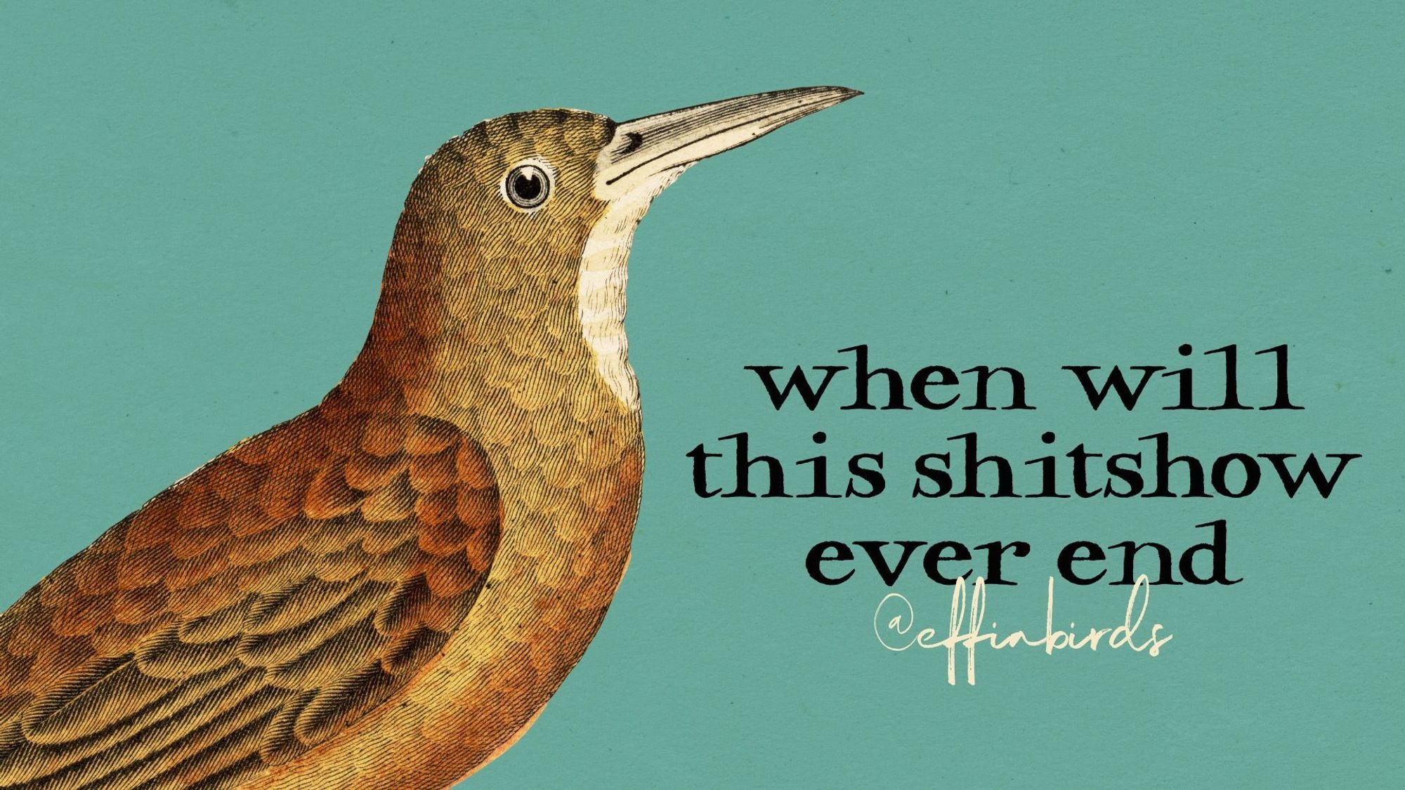 A painting of a bird beside the text "when will this shitshow ever end"