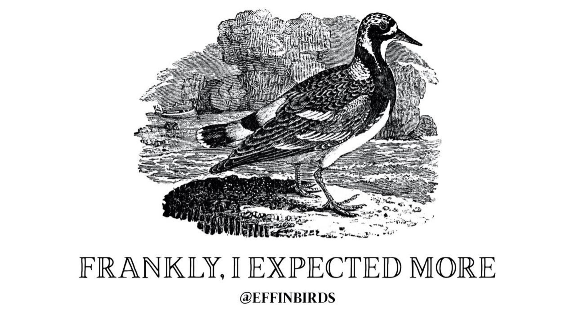 A woodcut of a bird above the text "frankly, I expected more."