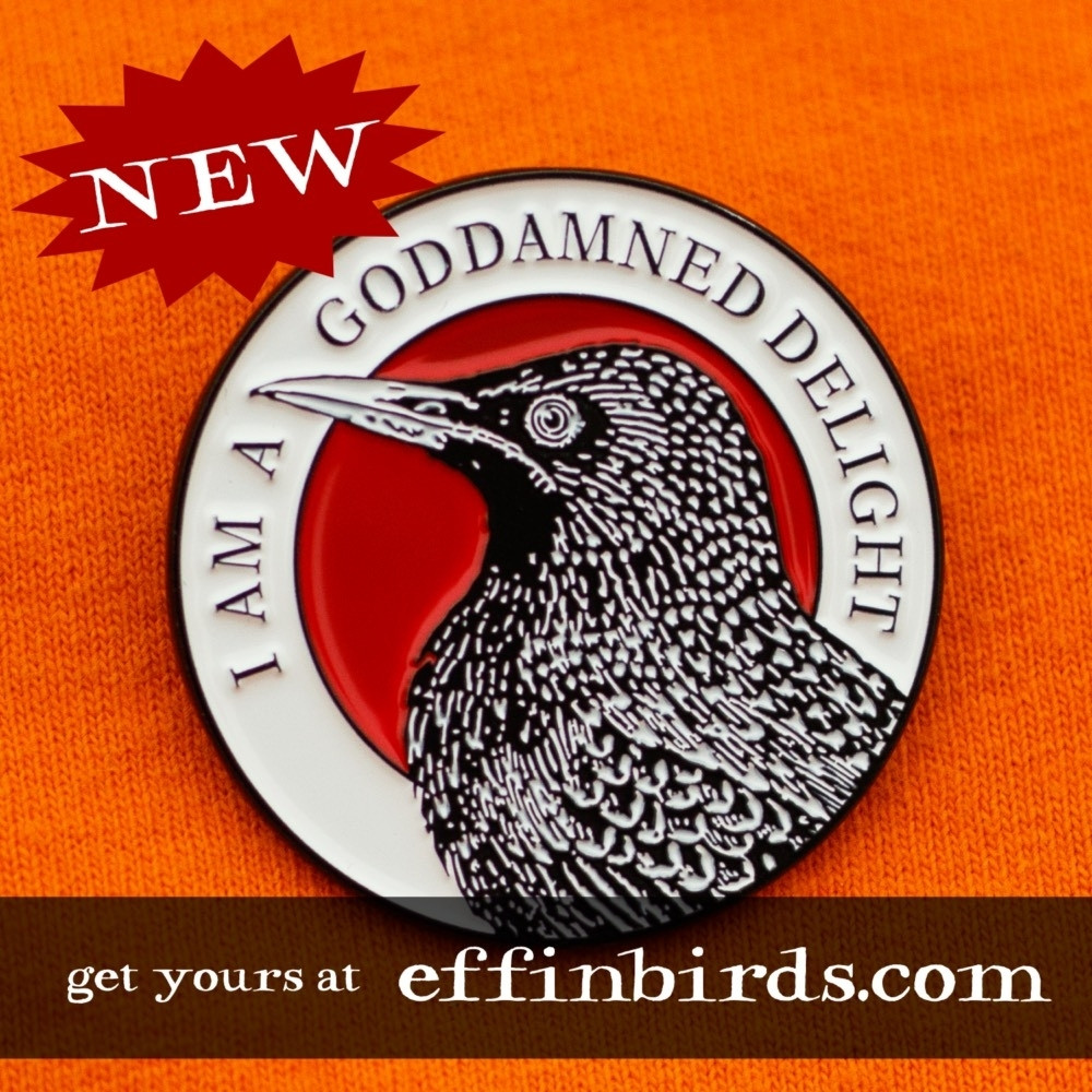 An enamel pin that reads "I am a goddamned delight."