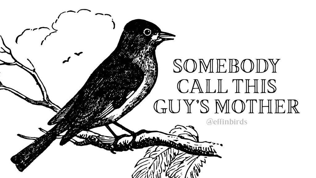 A woodcut of a bird next to the words"SOMEBODY CALL THIS GUY’S MOTHER"