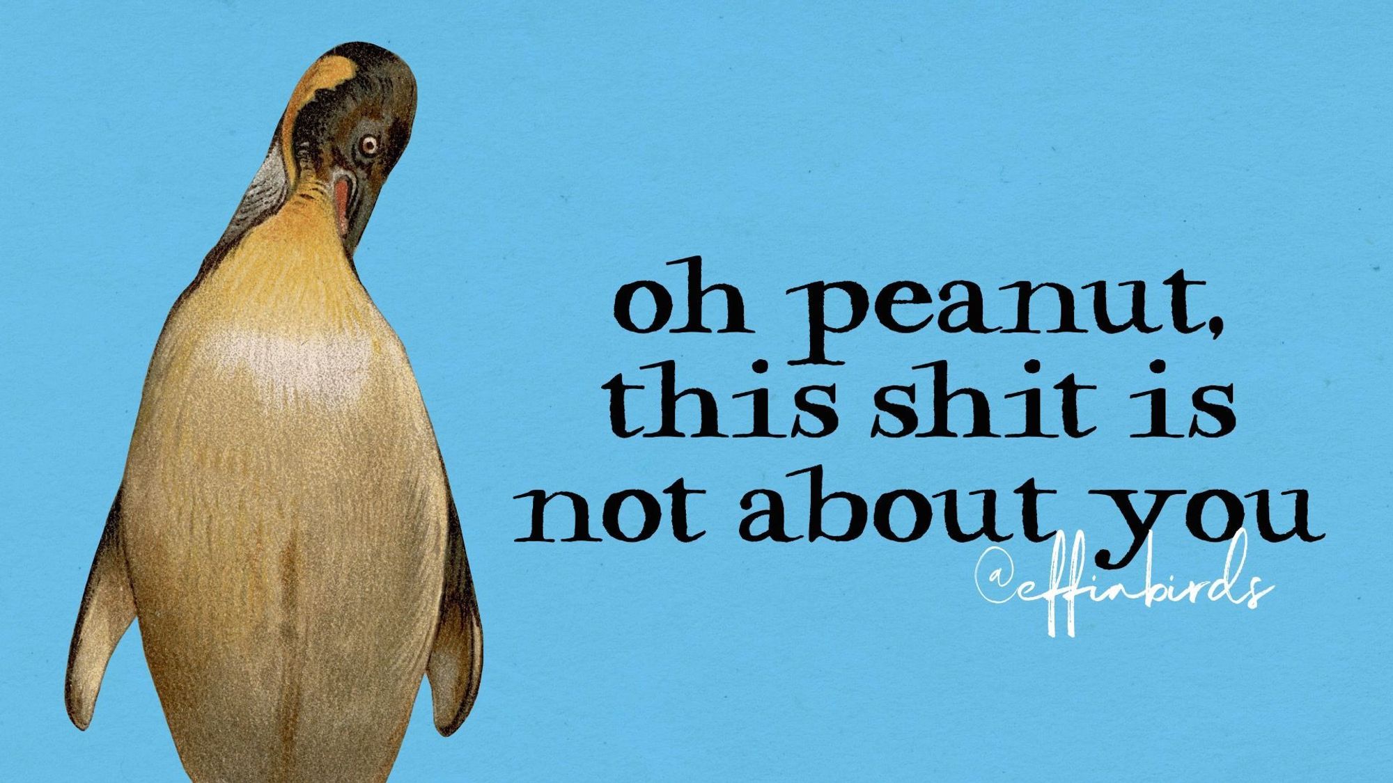 A painting of a bird beside the text "oh peanut, this shit is not about you"