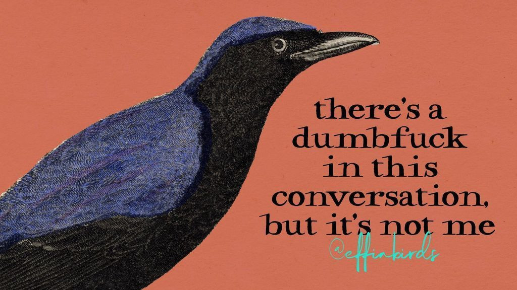 A painting of a bird next to the words "there's a dumbfuck in this conversation, but it's not me"