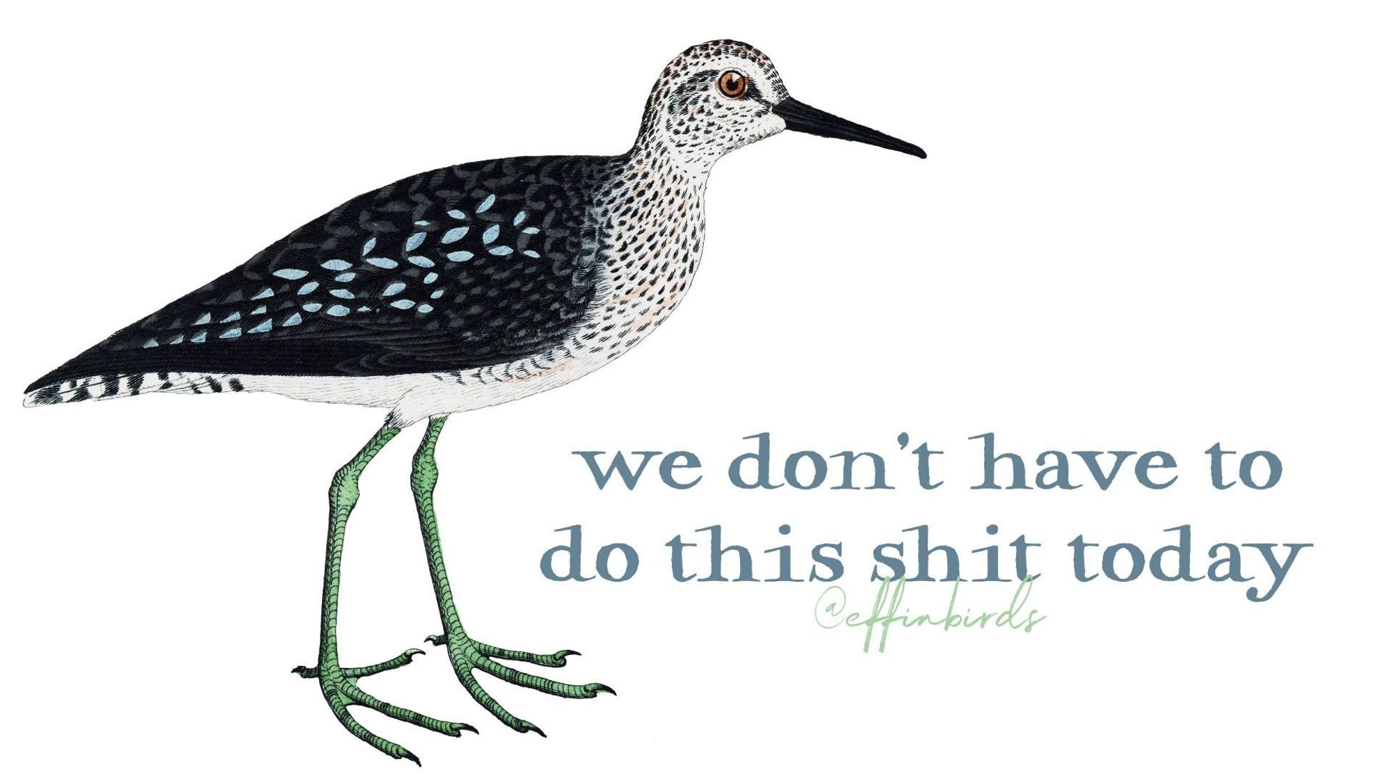 A painting of a bird beside the text "we don't have to do this shit today"