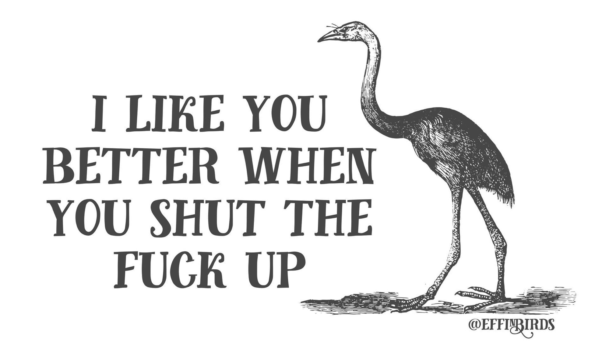 A woodcut of a bird beside the text "I like you better when you shut the fuck up"