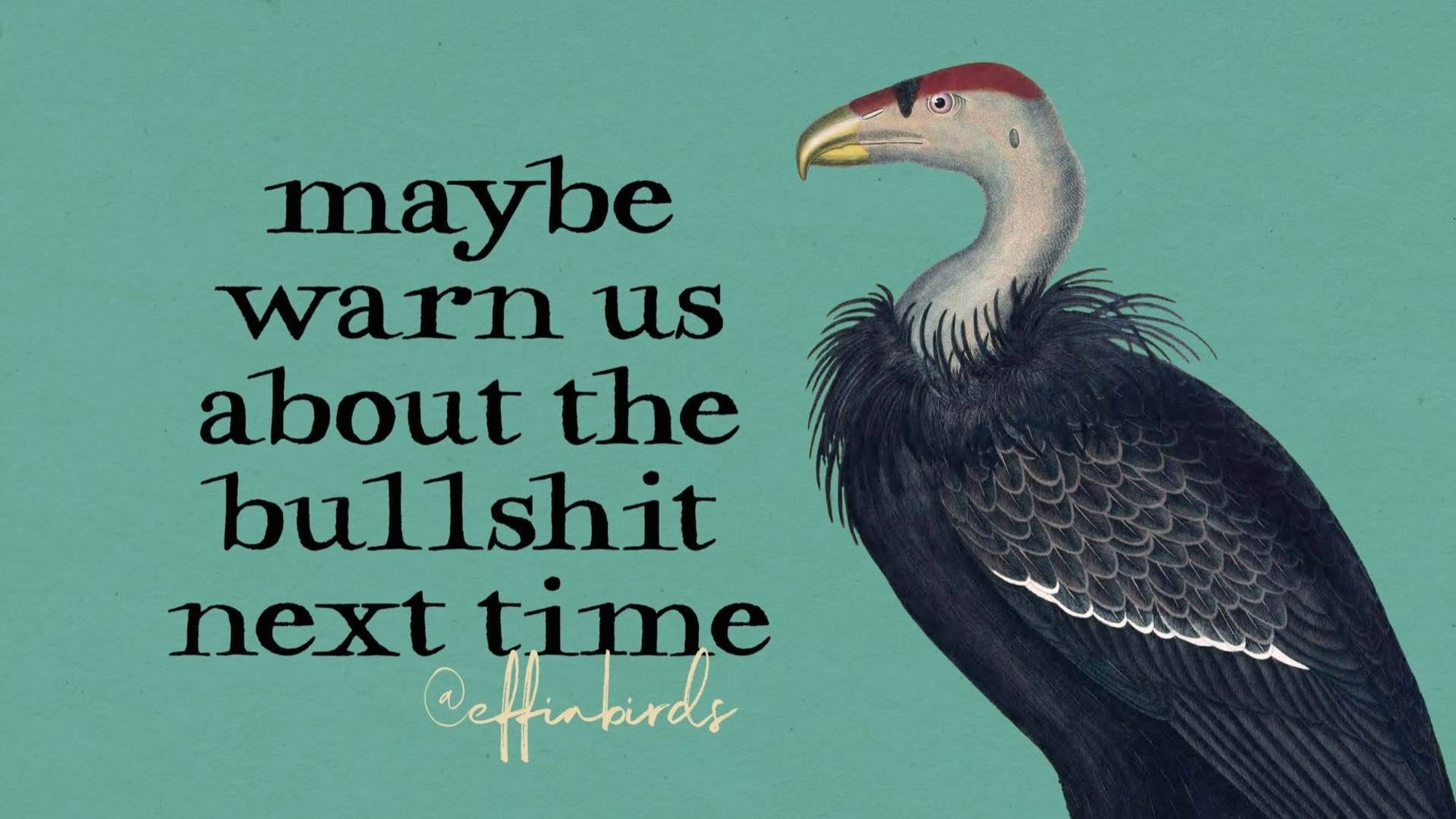 A painting of a bird beside the text "maybe warn us about the bullshit next time"