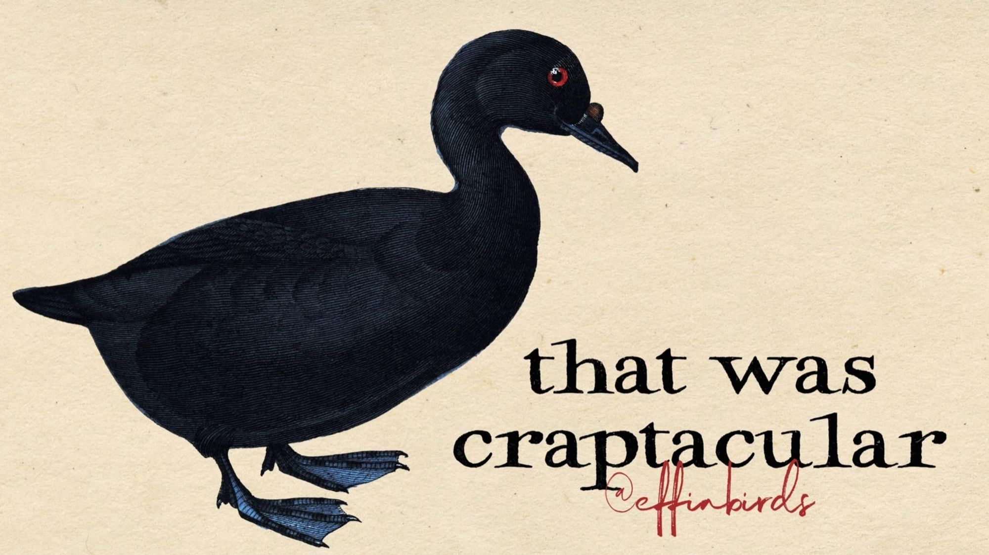 A painting of a bird beside the text "that was craptacular"