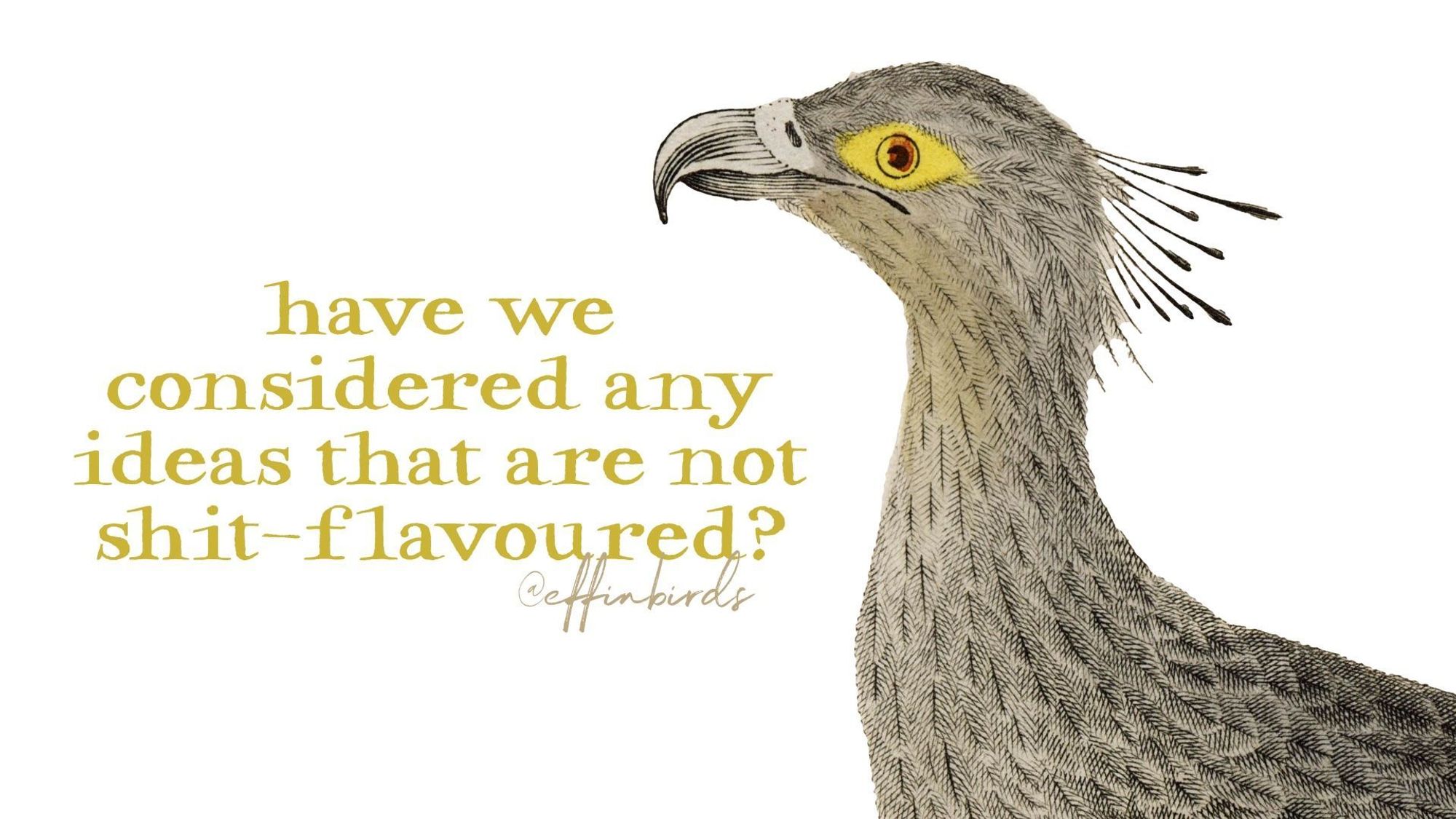 A painting of a bird beside the text "have we considered any ideas that are not shit-flavoured?"