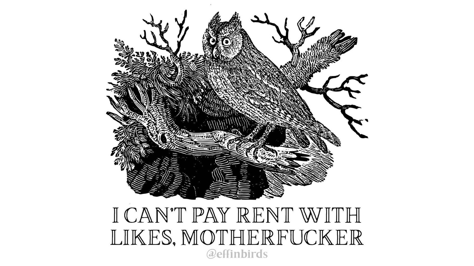 A woodcut of a bird beside the text "I CAN’T PAY RENT WITH LIKES, MOTHERFUCKER"