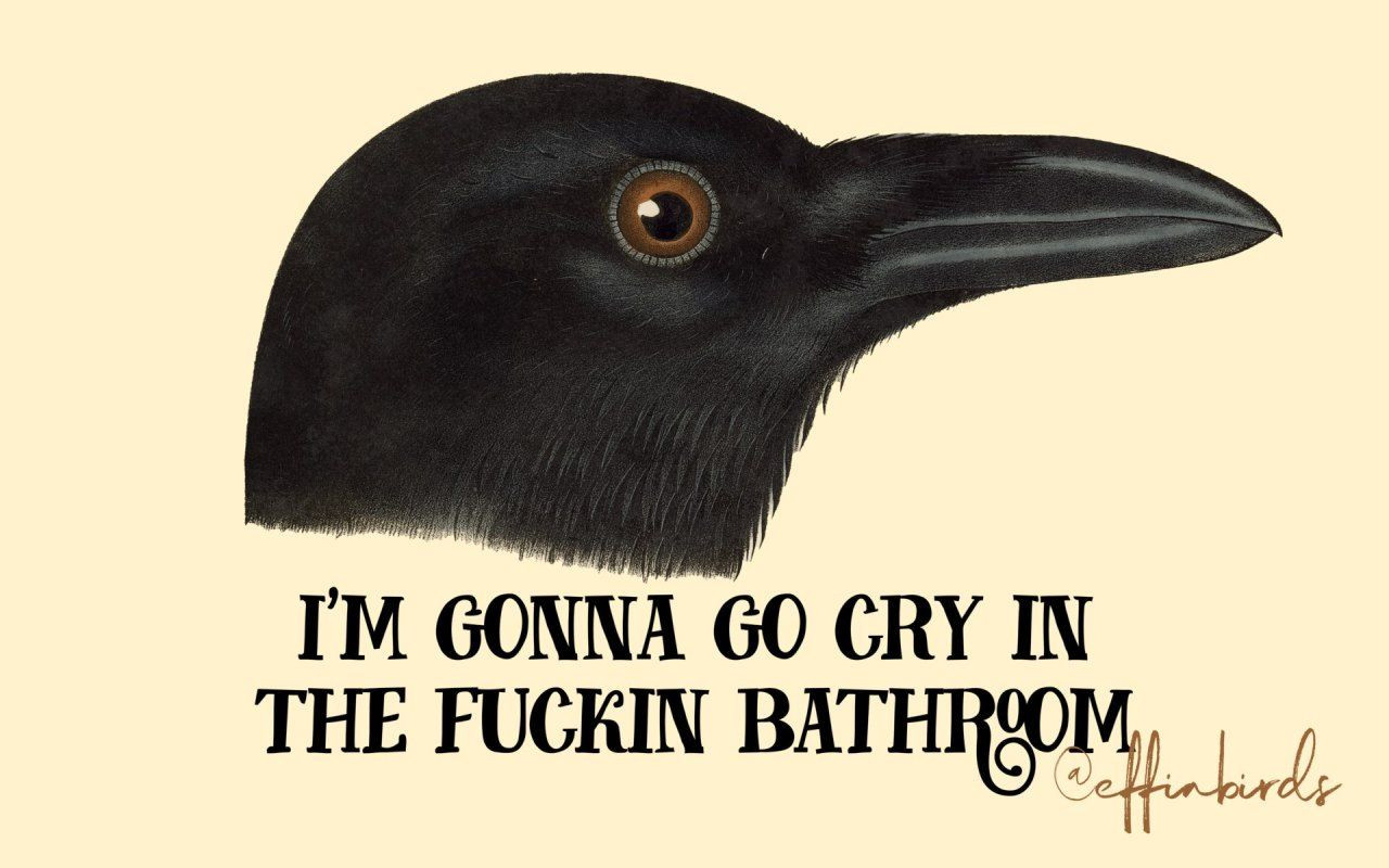 A painting of a bird beside the text "I'm gonna go cry in the fuckin bathroom"