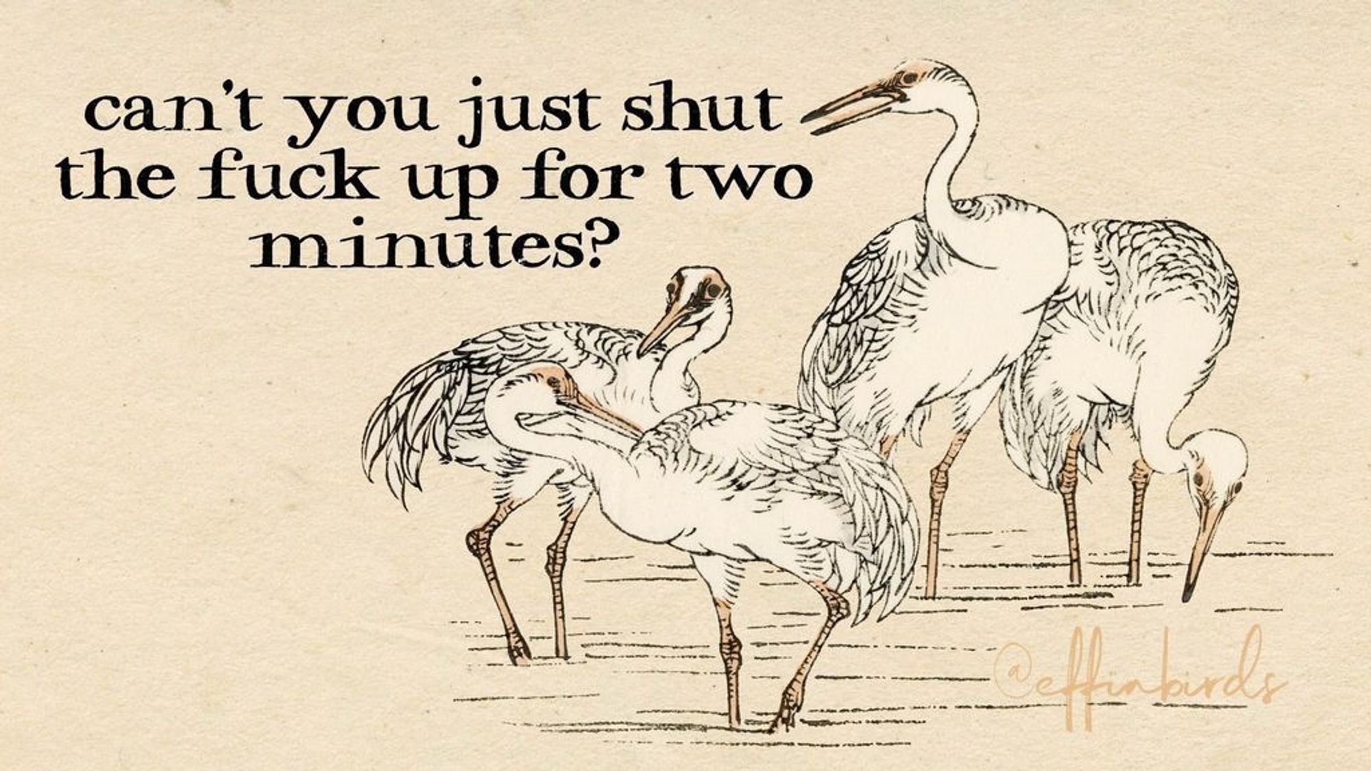 A painting of a group of birds next to the words "can't you just shut the fuck up for two minutes?"