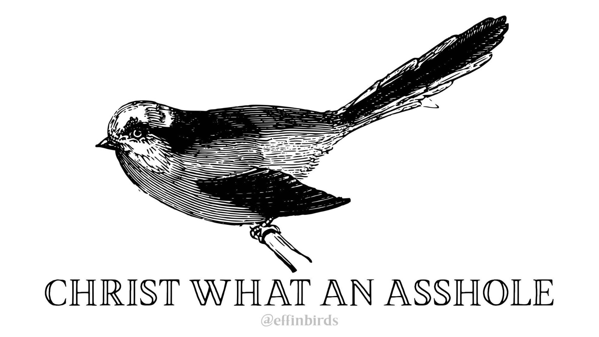 A woodcut of a bird beside the text "christ what an asshole"