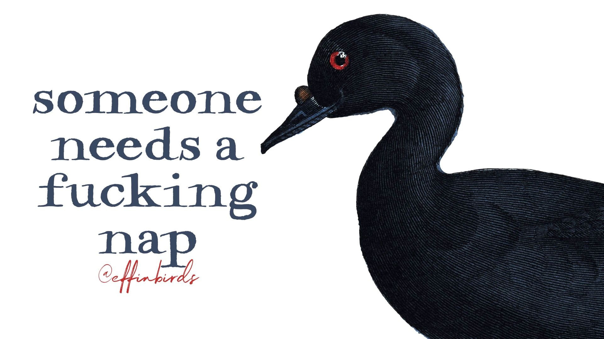 A painting of a bird beside the text " someone  needs a fucking nap"