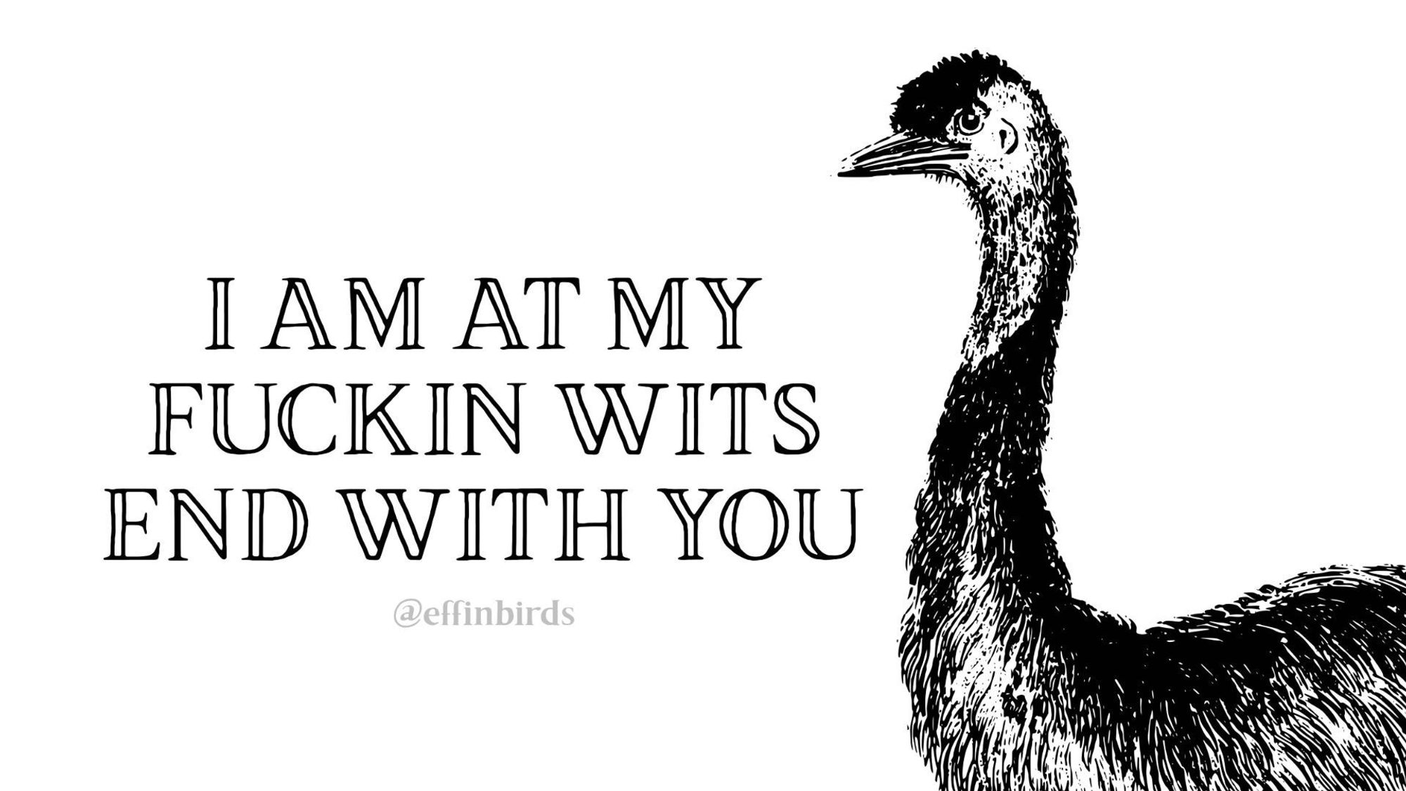 A woodcut of a bird beside the text "I AM AT MY FUCKIN WITS END WITH YOU"