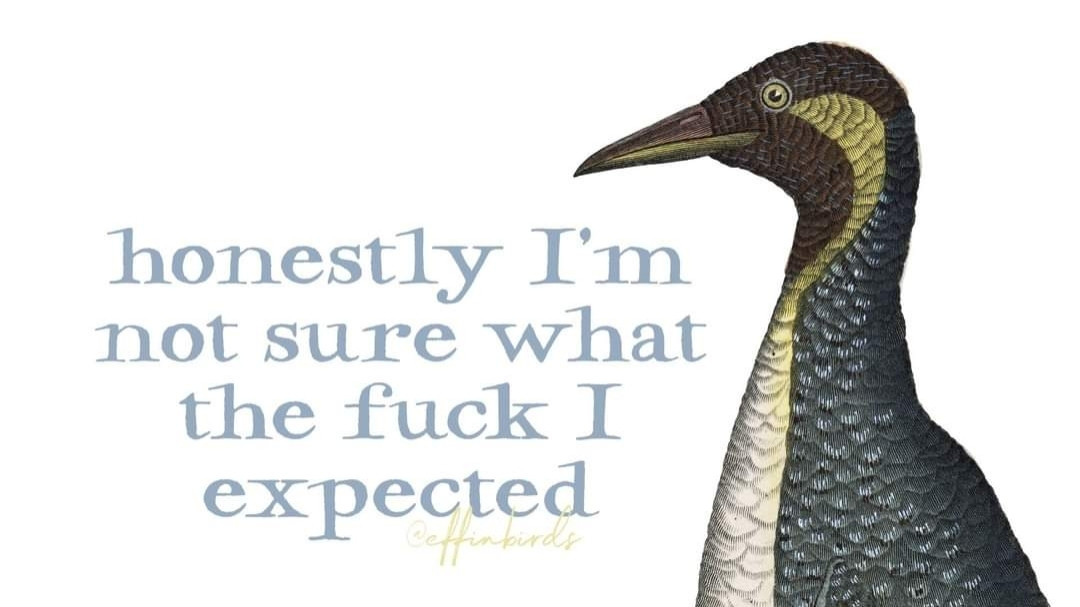 A painting of a bird beside the text "honestly I'm not sure what the the fuck I expected"