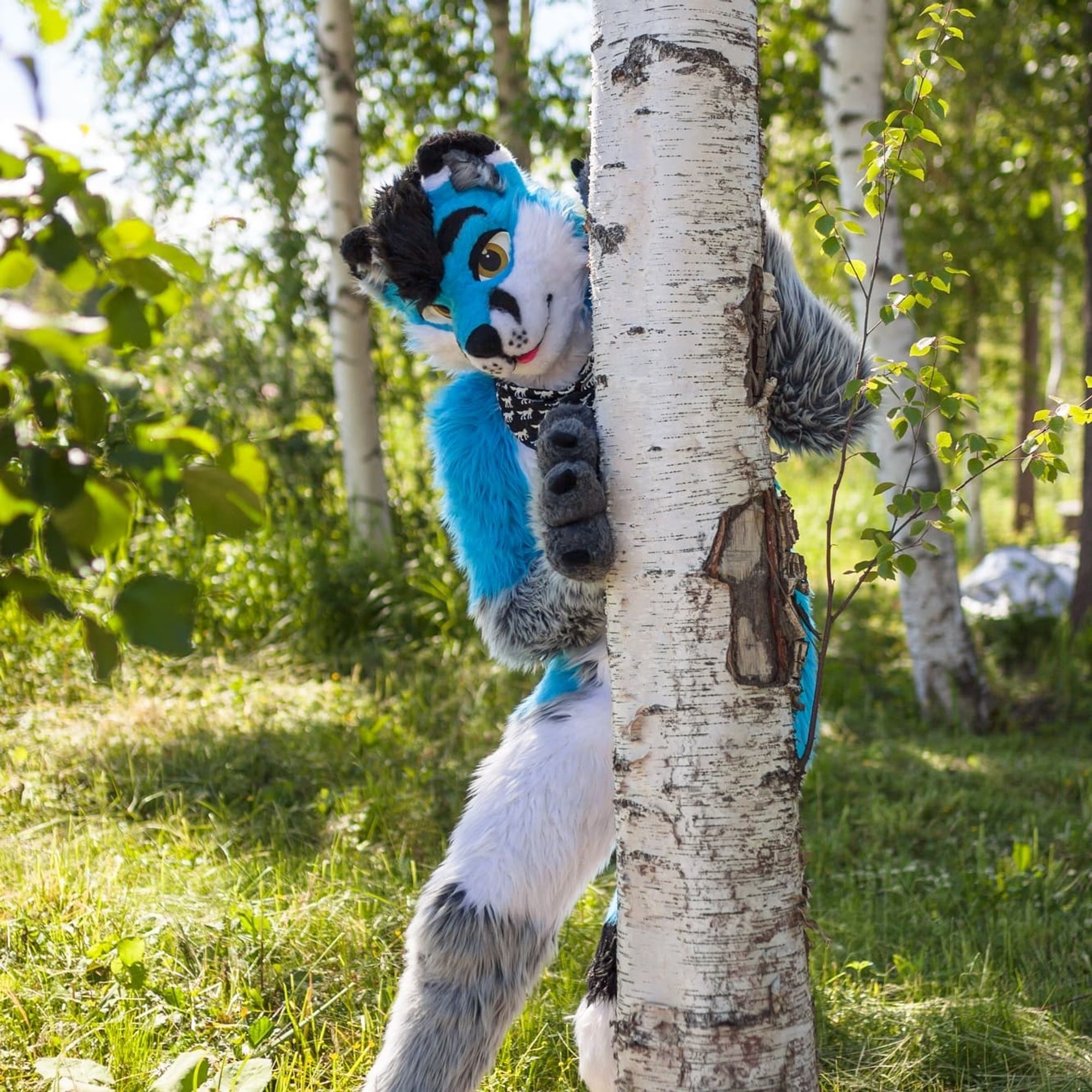 Fox fursuiter behind the tree peeking