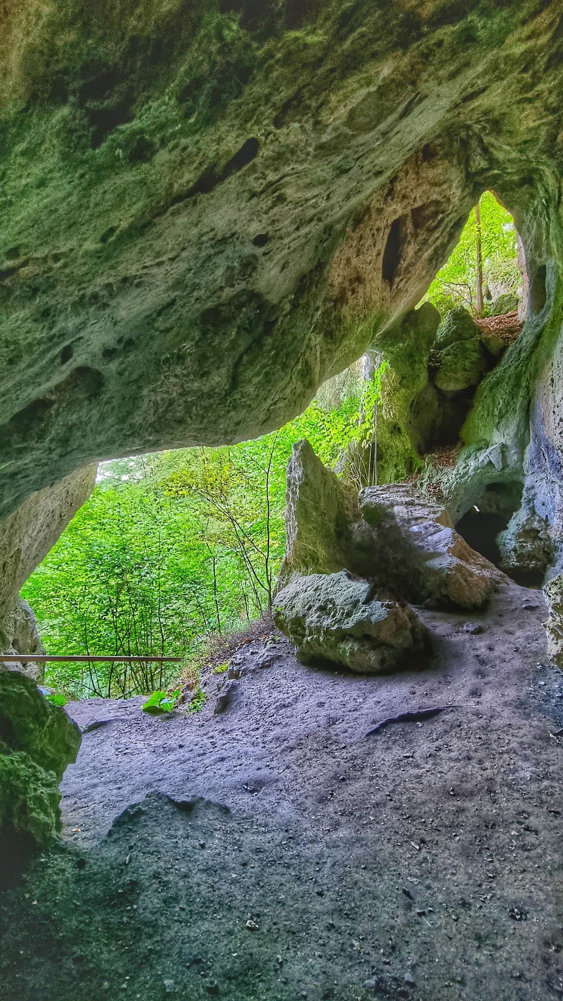 Foto aus der der Neideck Grotte raus mit Blick in den Wald.