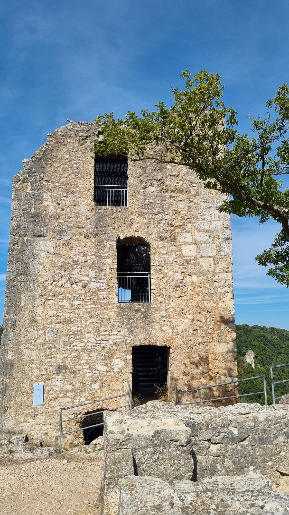 Ruine Neideck