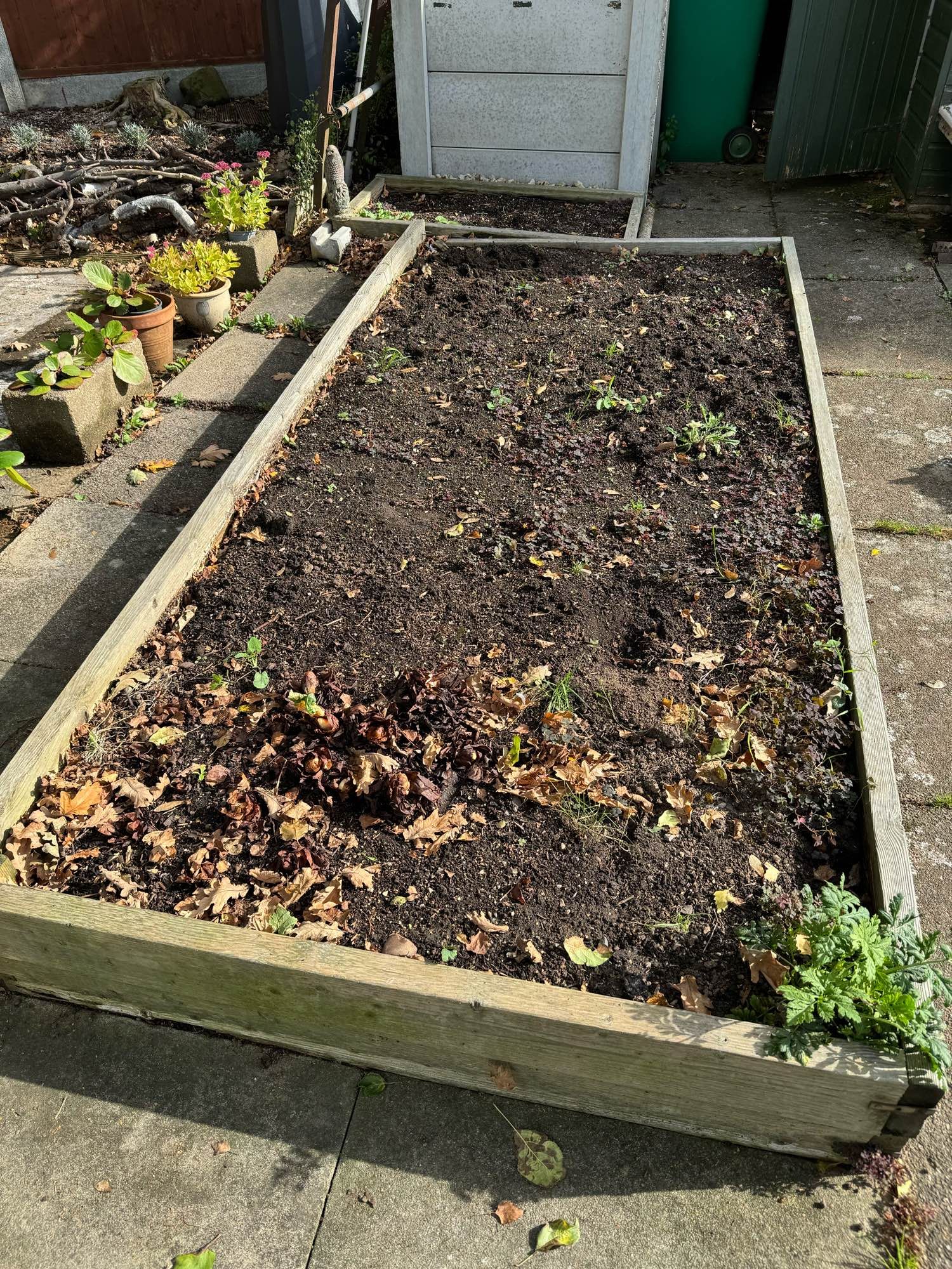 Empty veg patch ☹️