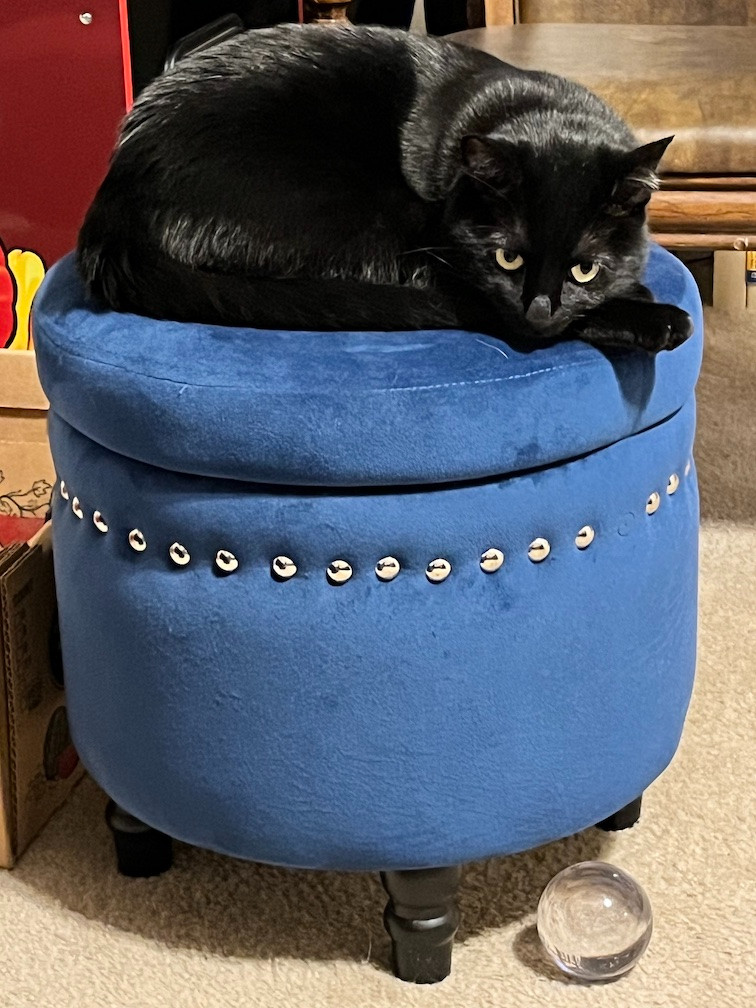 A black cat on a blue ottoman, with a crystal ball at the foot of the stool.