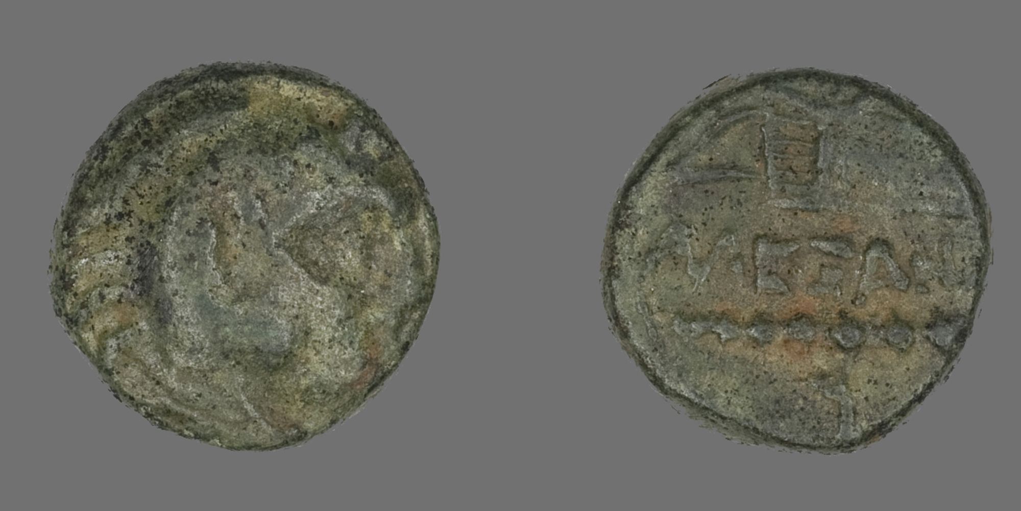 The front (obverse) of this coin depicts the hero Hercules, facing right, wearing his signature lion skin cloak tied around his neck. The back (reverse) shows a bow in case and club.
Herakles was the consummate hero. Temples across Greece and South Italy were dedicated to him, the son of Zeus, and Romans, who knew him as Hercules, celebrated him as a role model. With brute force, determination, and just enough cleverness, Herakles completed his famous Twelve Labors to become immortal. Herakles is readily identifiable by his knobby club and lion’s skin. The latter refers to his First Labor, in which he killed a magical beast who was ravaging the town of Nemea. The lion’s invincible hide made him immune to weapons, so Herakles strangled him and took his pelt.

Gift of William F. Dunham