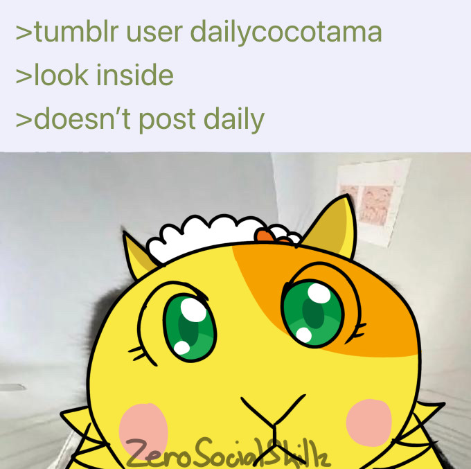 An image with 4chan green text reading:
>tumblr user dailycocotama
>look inside
>doesn’t post daily
Below the text is Chako from Hirake! Cocotama drawn over an image of a cat. She is looking close to the camera with wide eyes. 